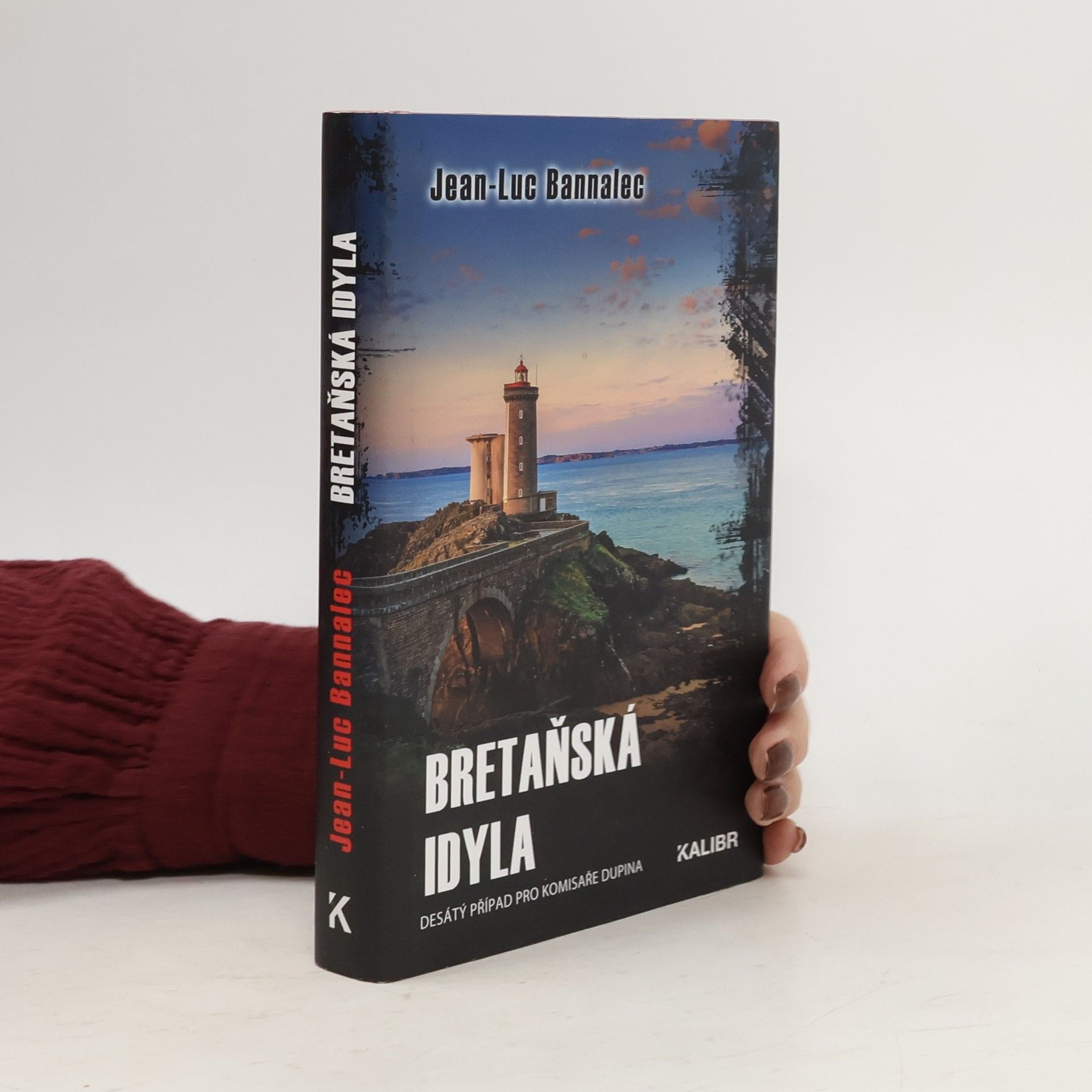 Jörg Bong Bretaňská idyla : desátý případ pro komisaře Dupina