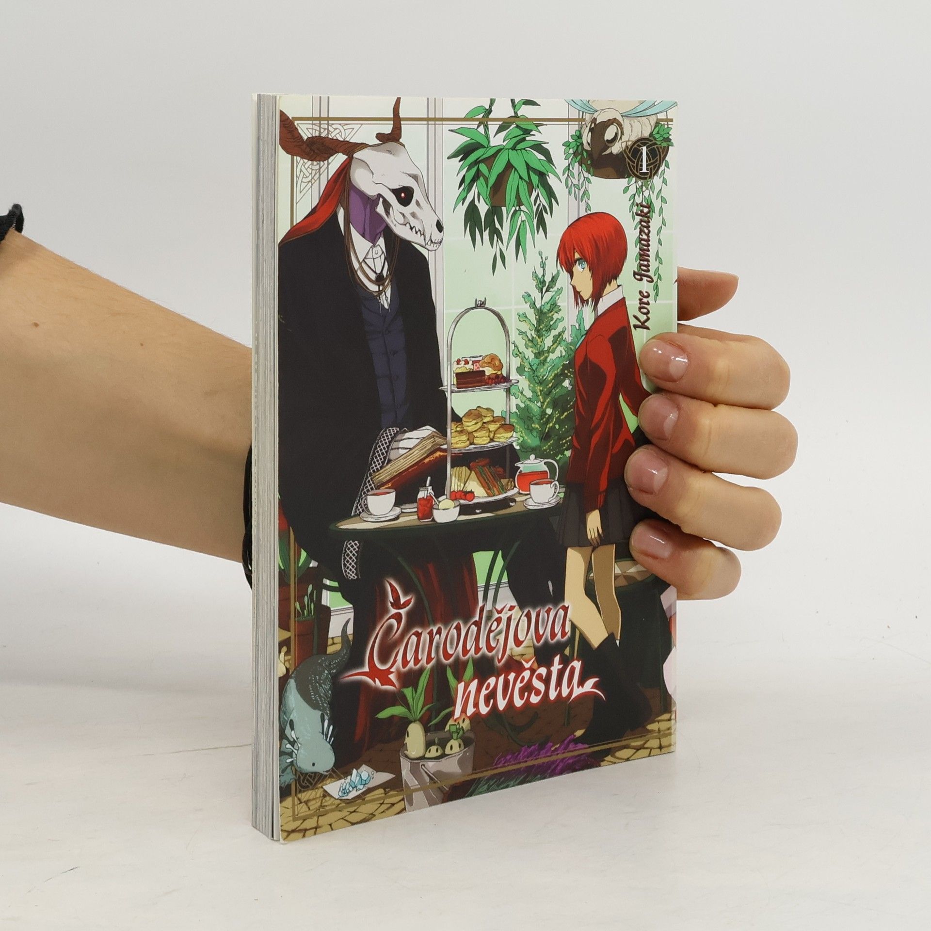 Kore Jamazaki Čarodějova nevěsta 1