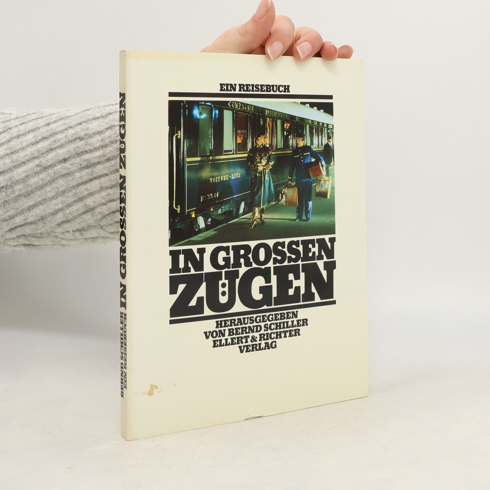 Bernd Schiller In grossen Zügen