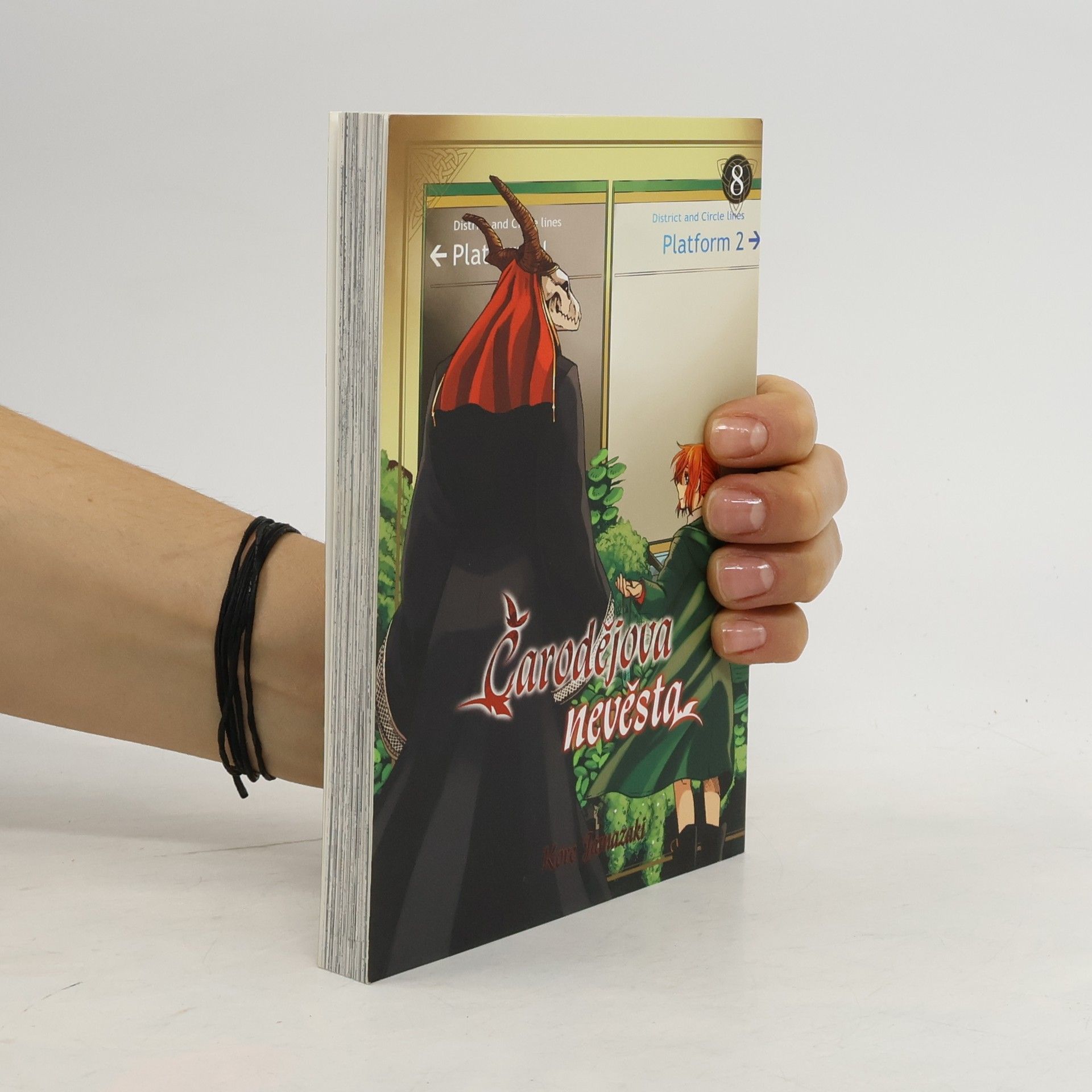 Kore Jamazaki Čarodějova nevěsta 8