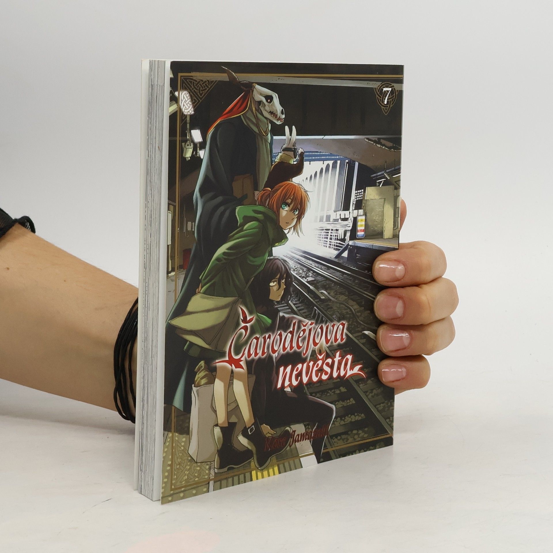 Kore Jamazaki Čarodějova nevěsta 7