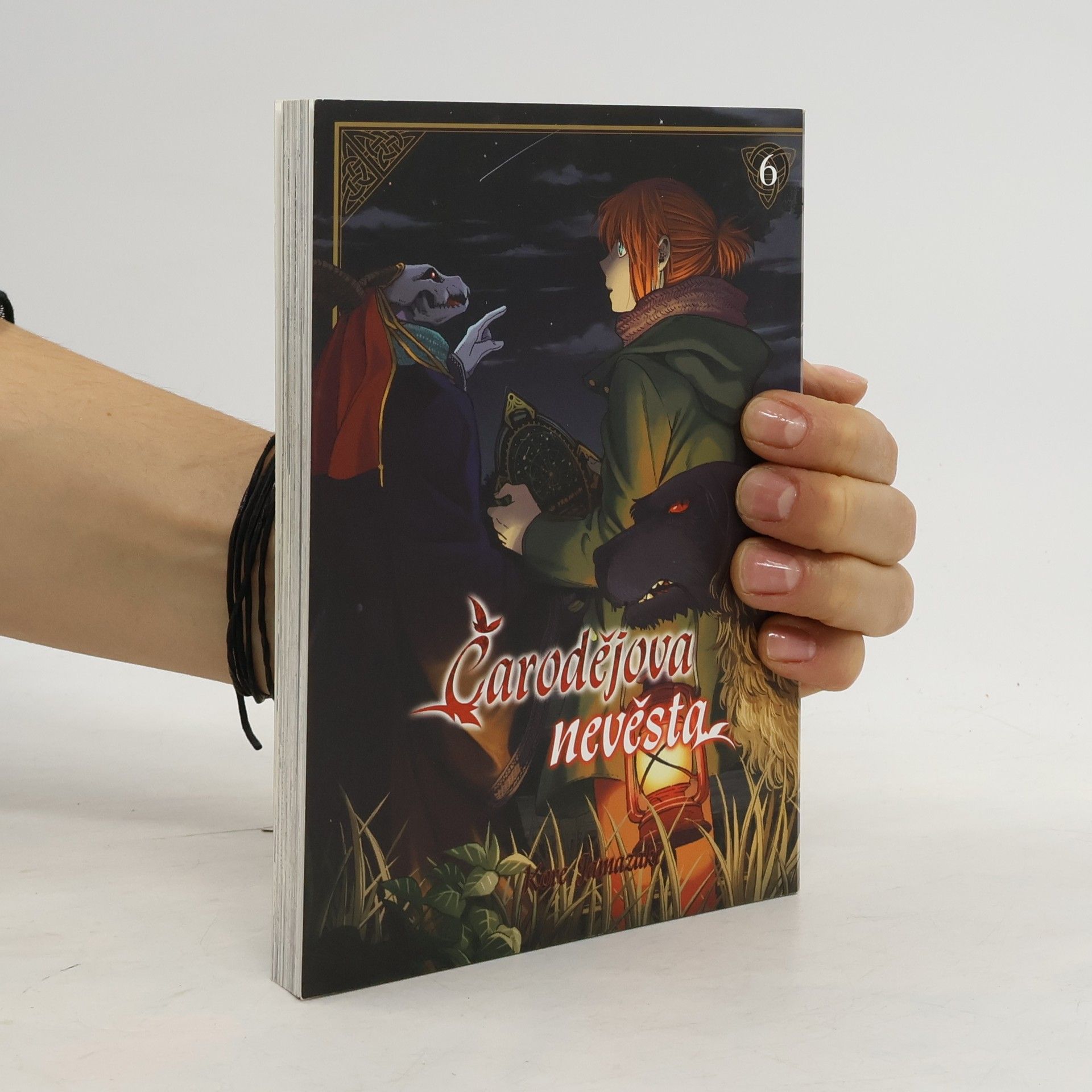 Kore Jamazaki Čarodějova nevěsta 6