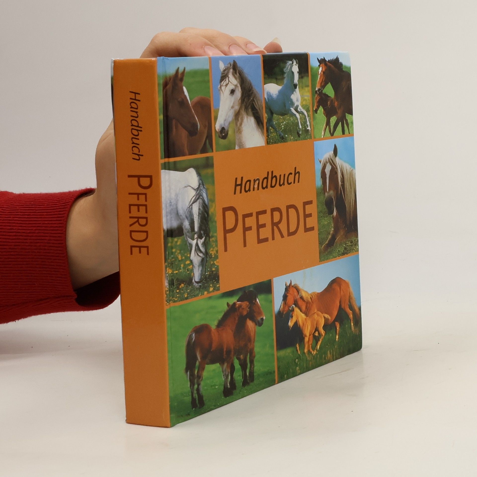 Autorenkollektiv Handbuch Pferde