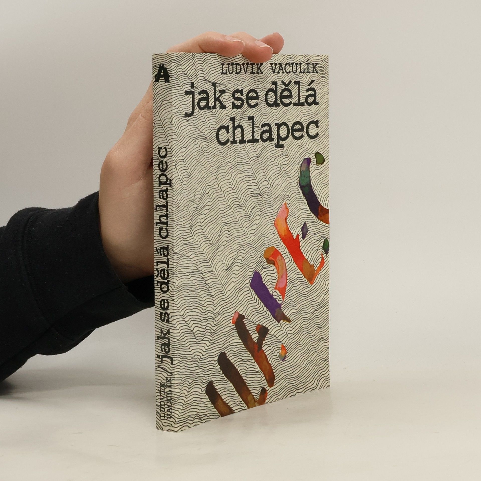 Ludvík Vaculík Jak se dělá chlapec