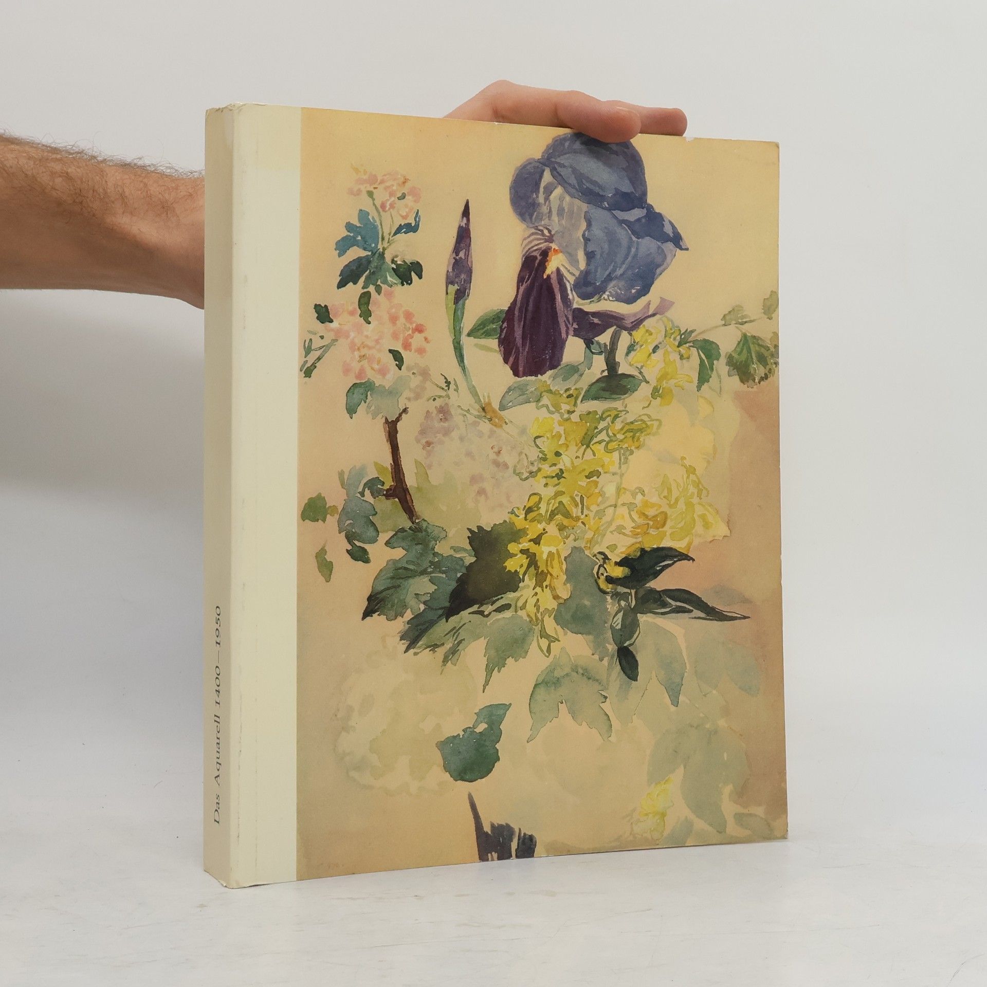 Autorenkollektiv Das Aquarell 1400-1950