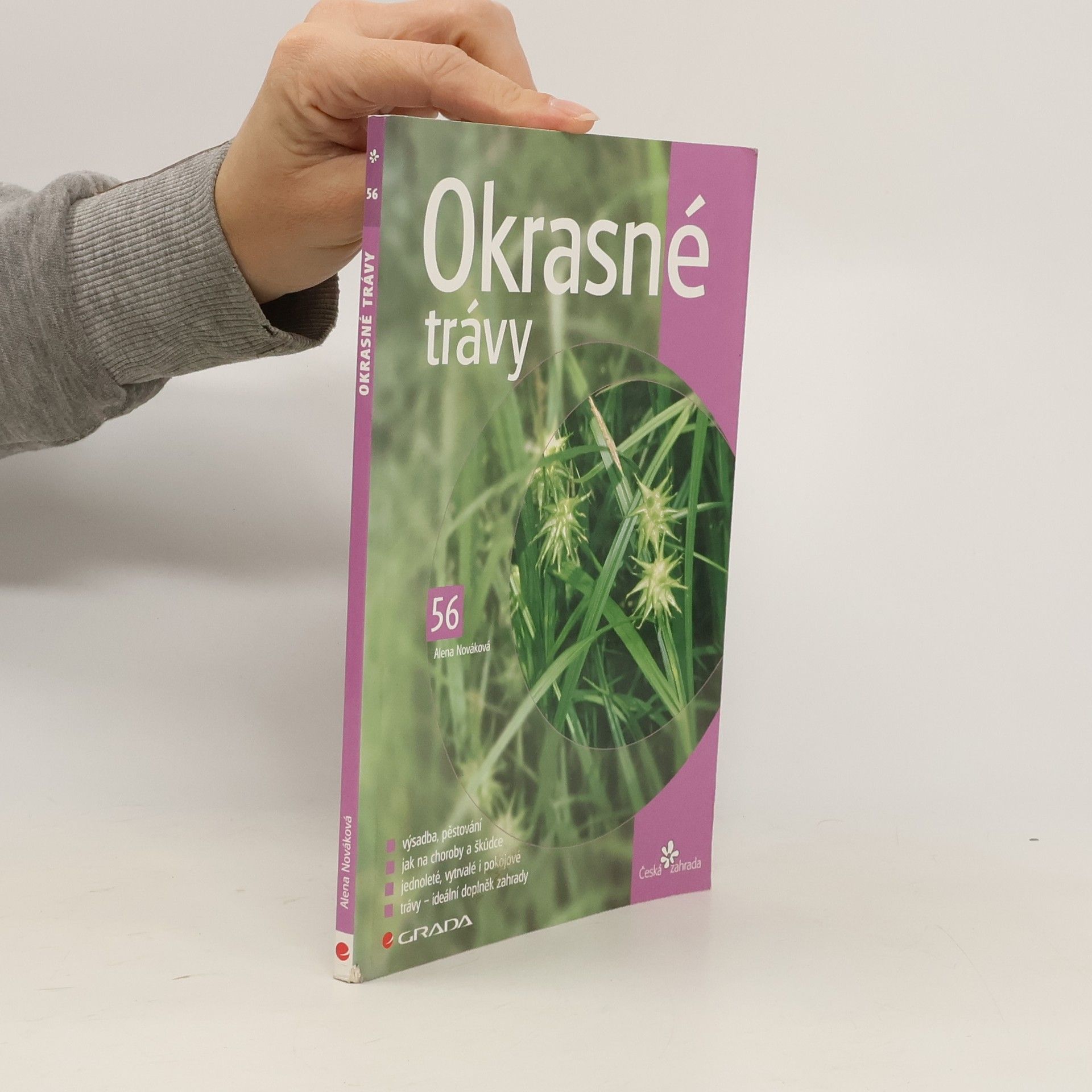 Okrasné trávy