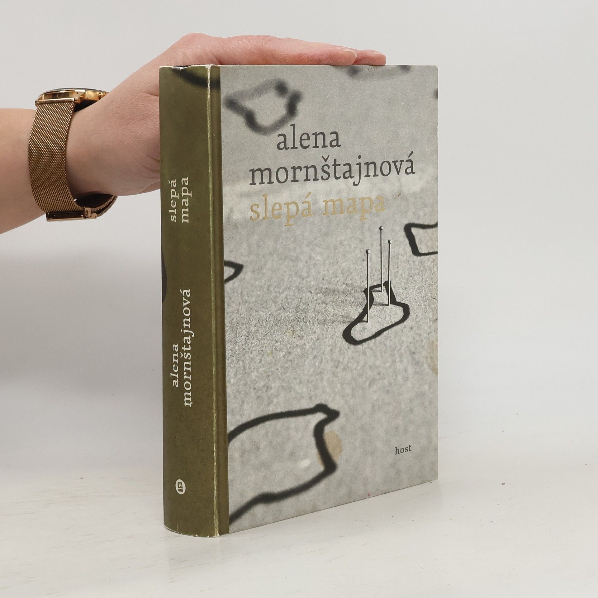 Alena Mornštajnová Slepá mapa