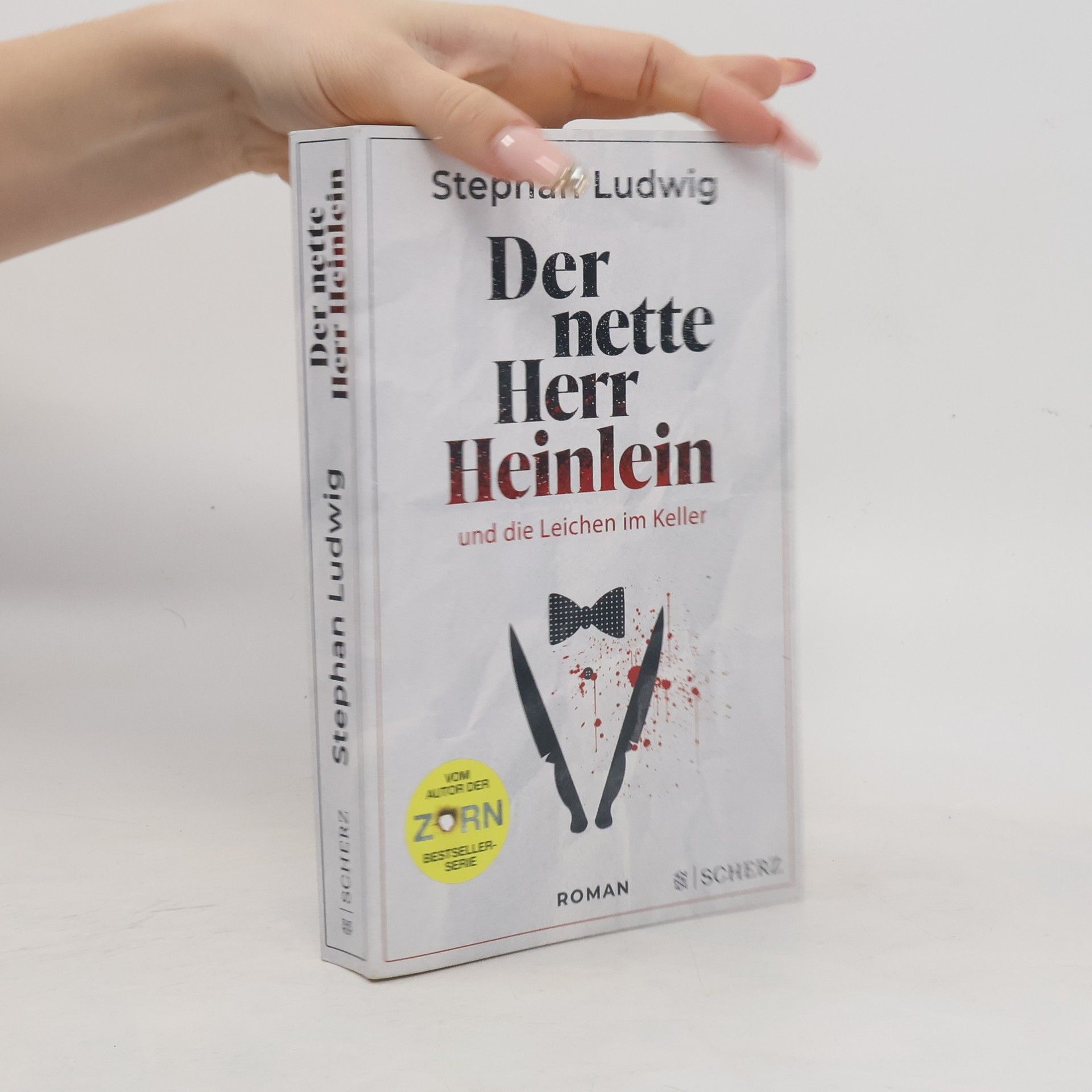 Stephan Ludwig Der nette Herr Heinlein und die Leichen im Keller