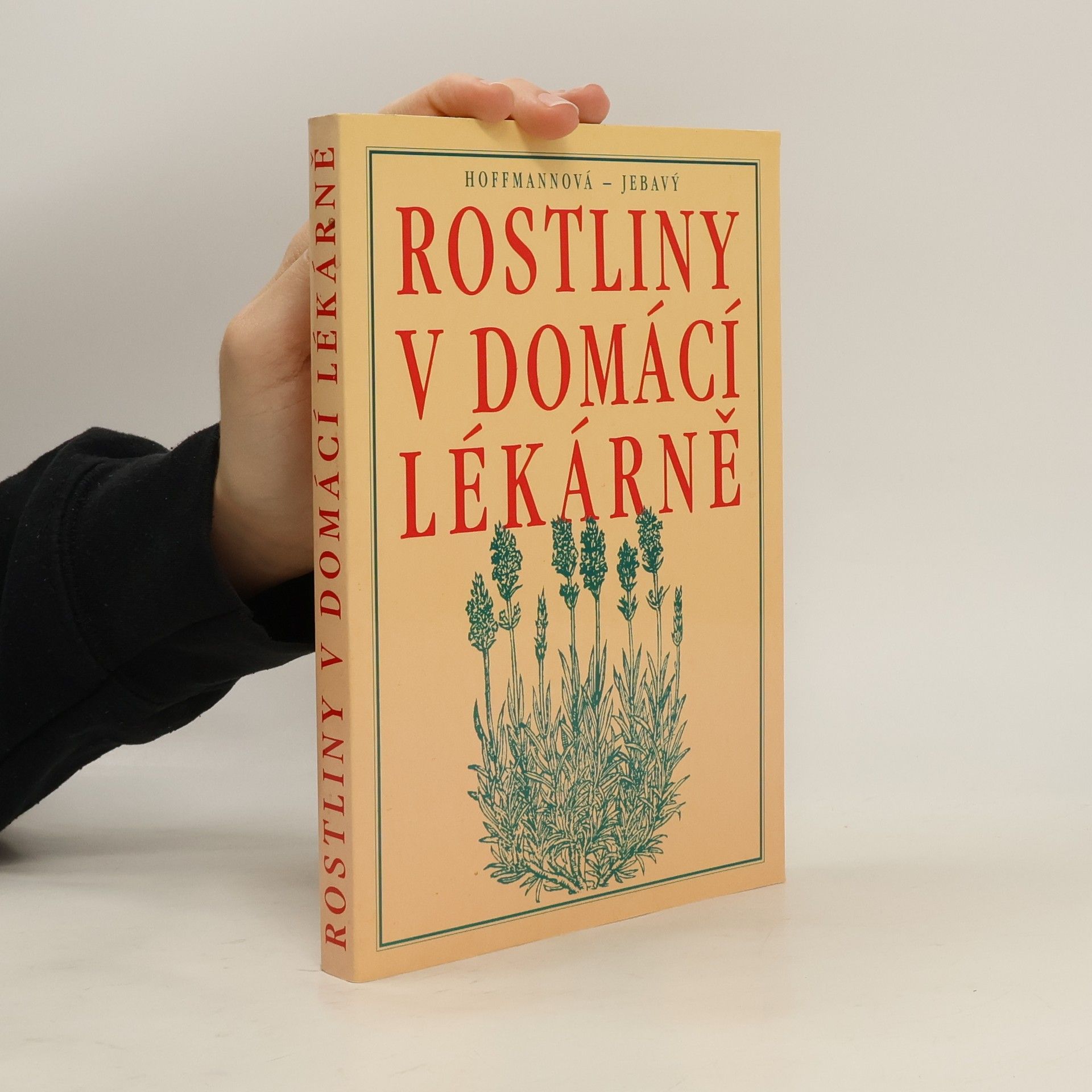 Eva H. Hoffmann Rostliny v domácí lékárně