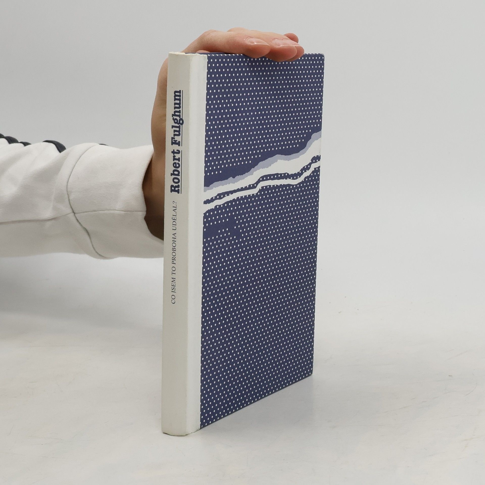 Robert Fulghum Co jsem to proboha udělal?