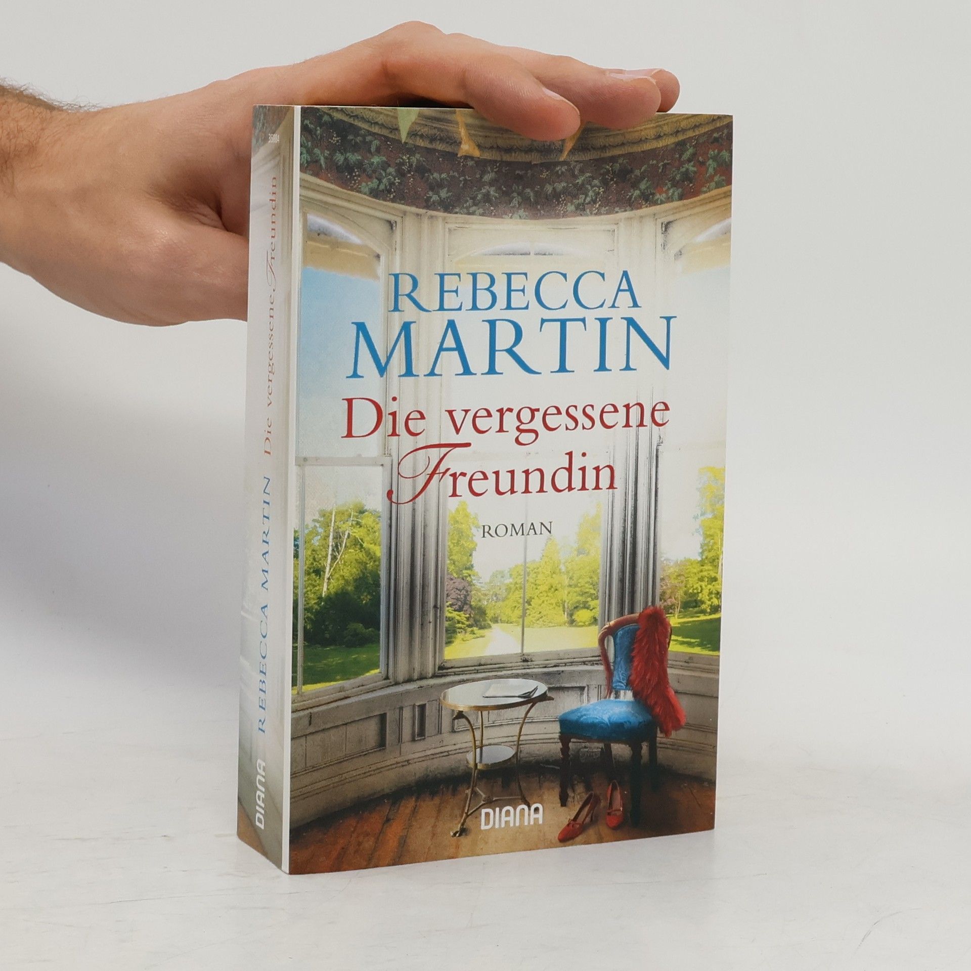Rebecca Martin Die vergessene Freundin