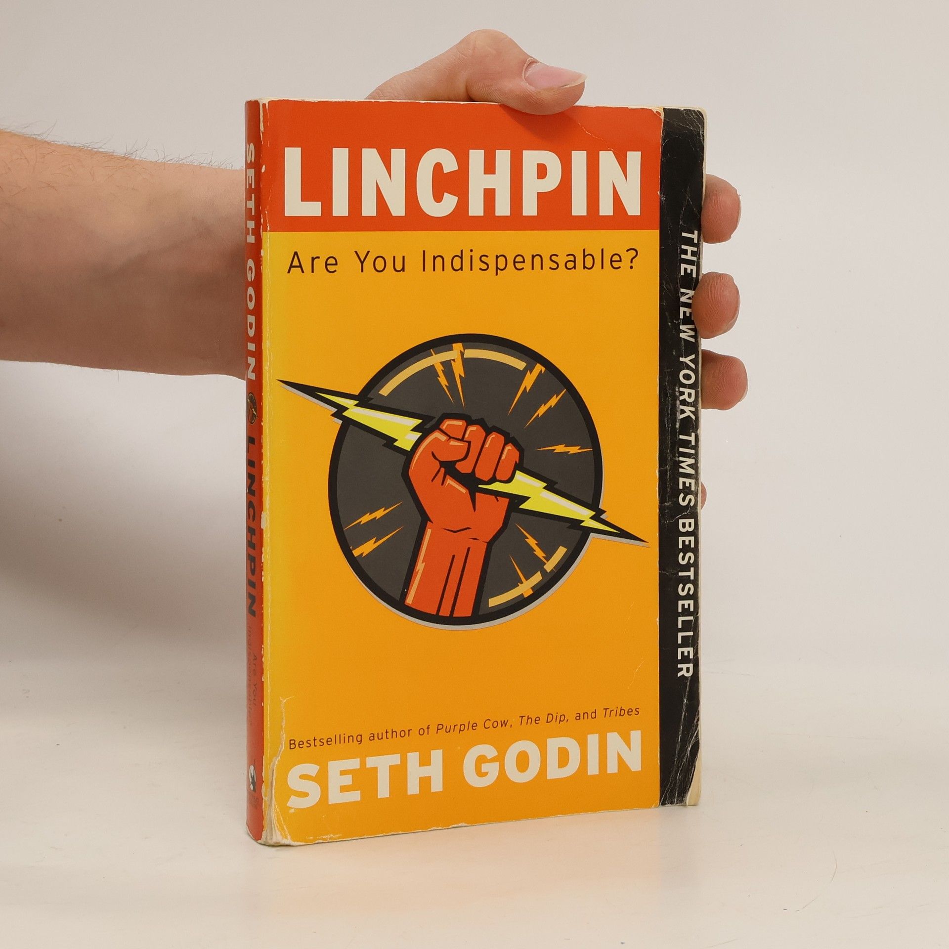Seth Godin Linchpin: Are You Indispensable?