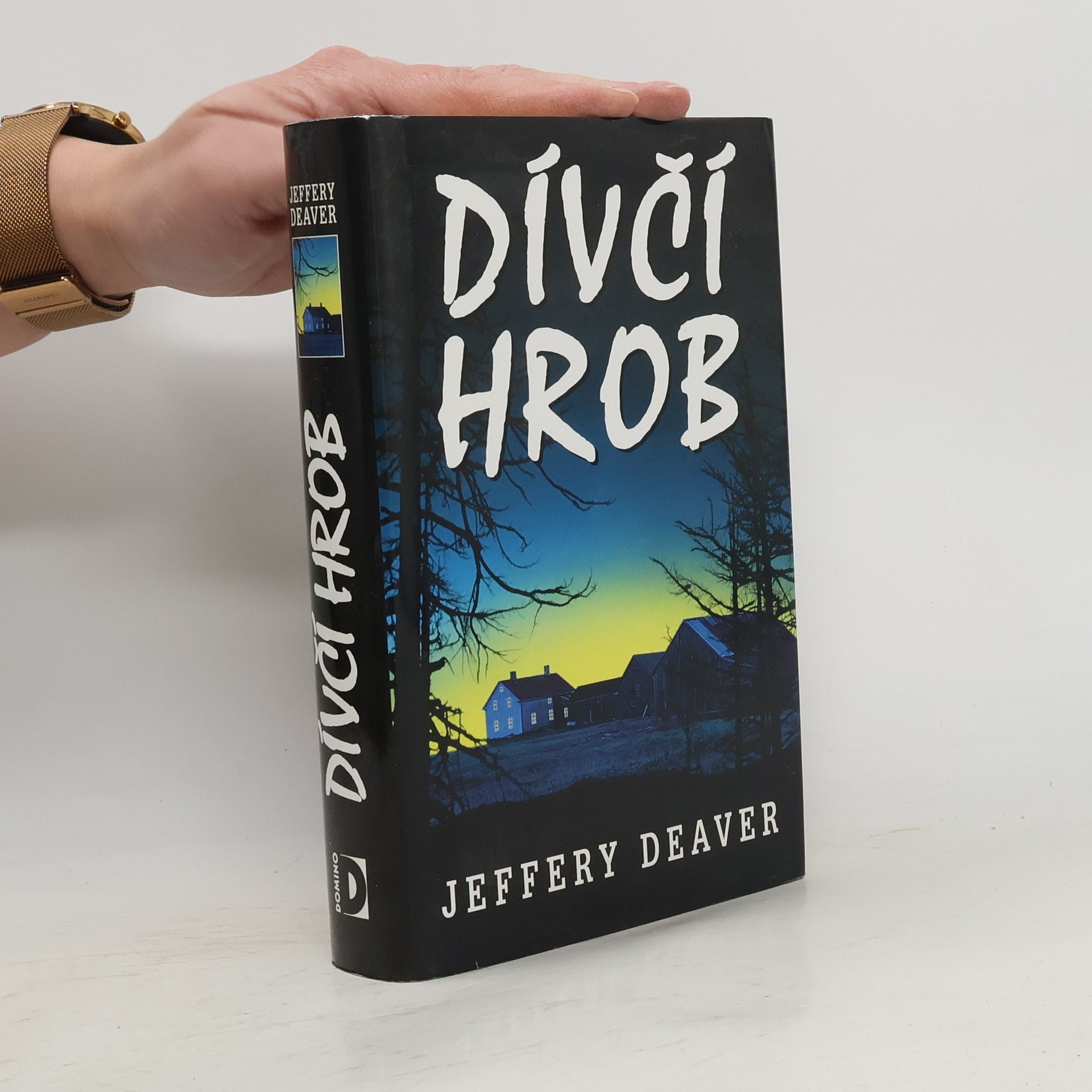 Jeffery Deaver Dívčí hrob