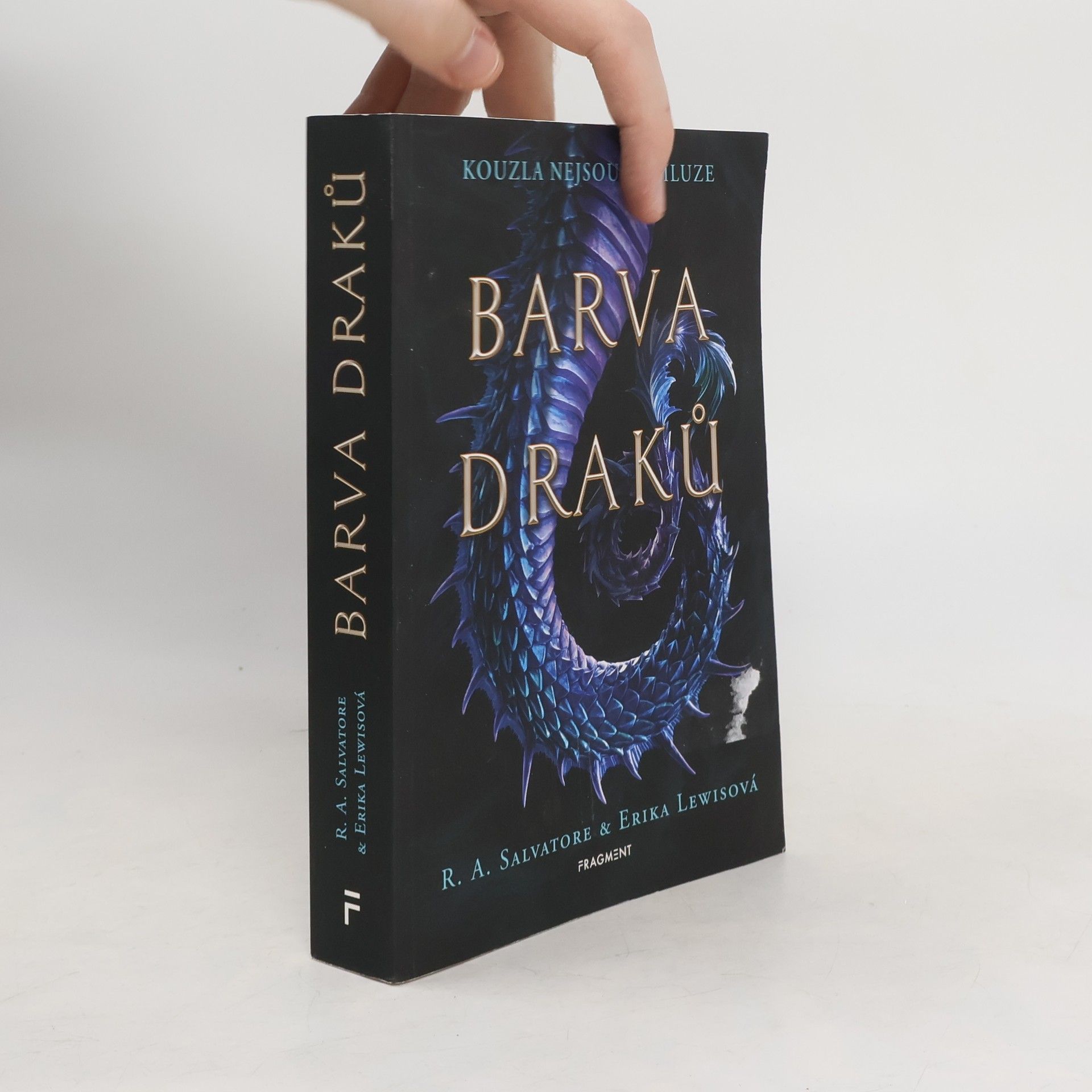 R. A. Salvatore Barva draků