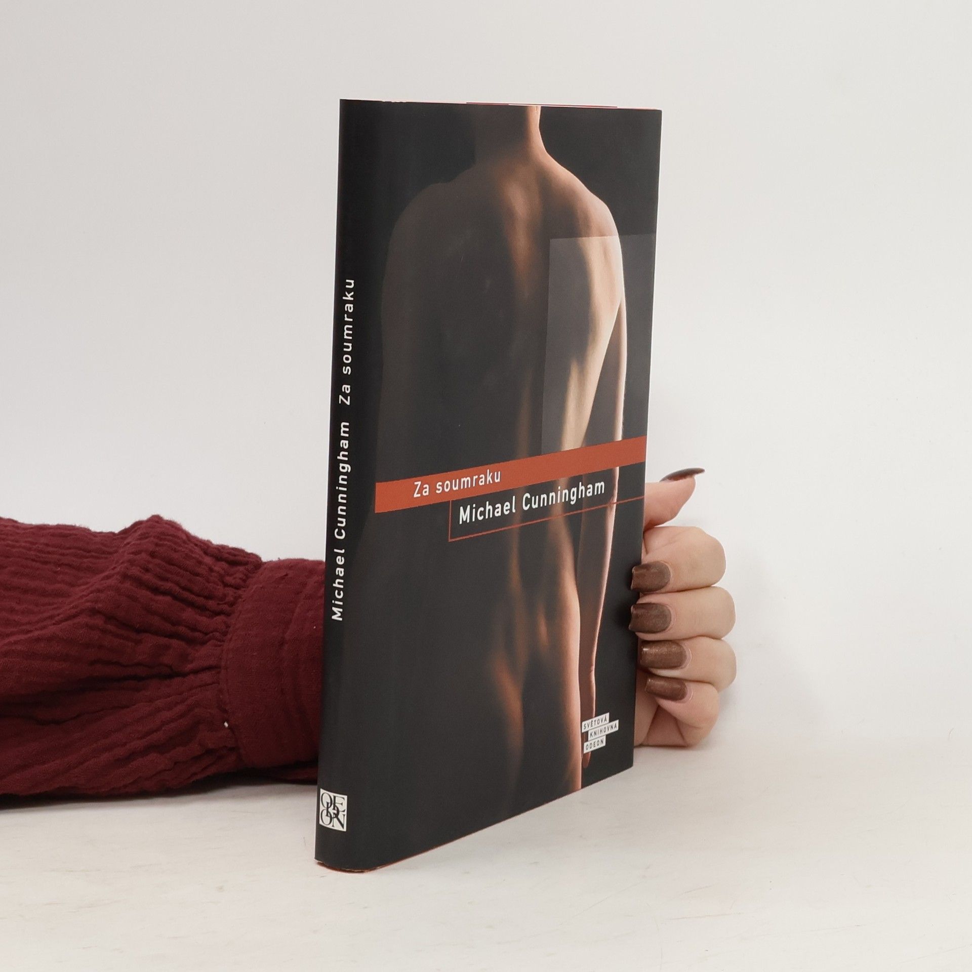 Michael Cunningham Za soumraku