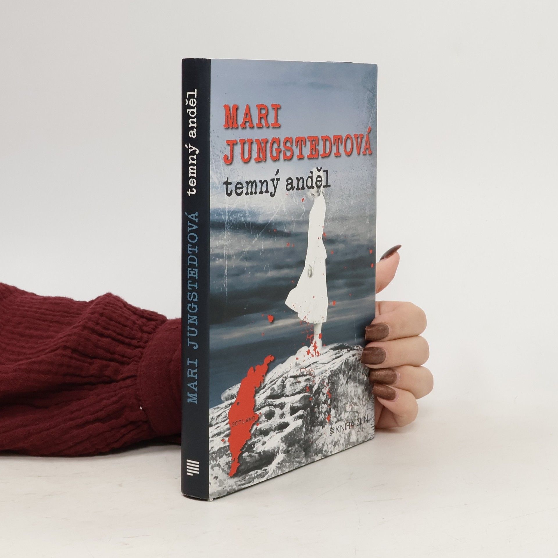 Mari Jungstedt Temný anděl