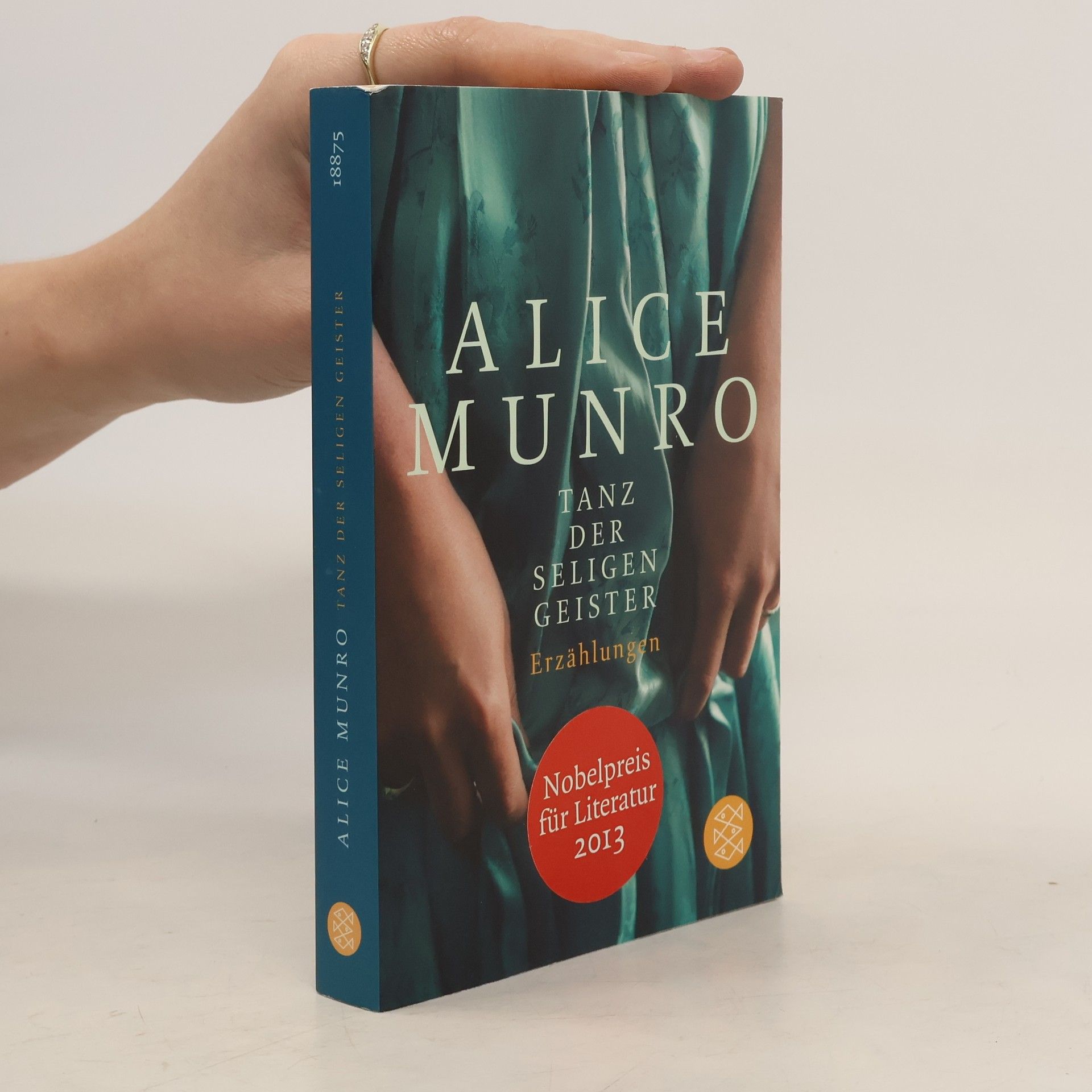 Alice Munro Tanz der seligen Geister