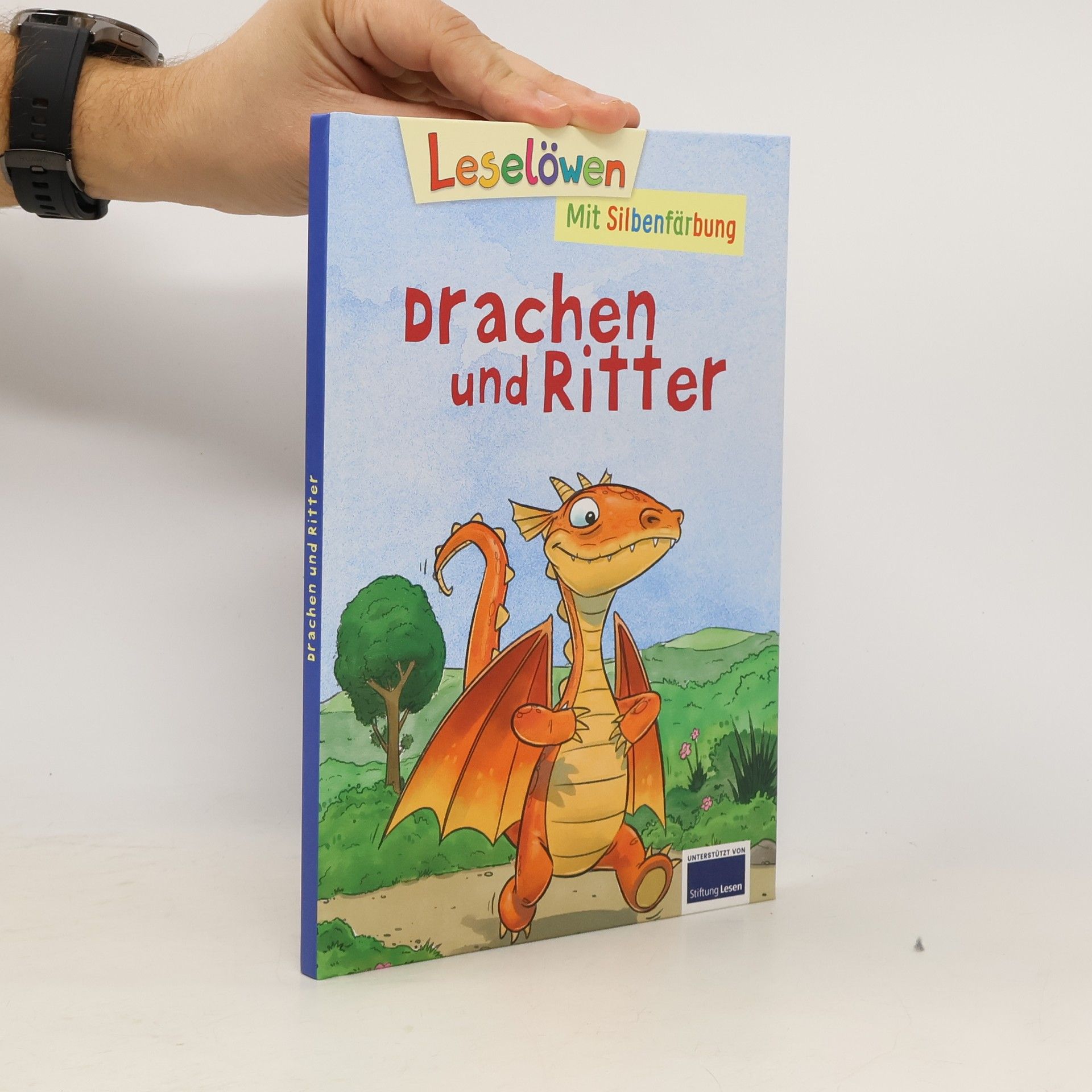 Autorenkollektiv Drachen und Ritter