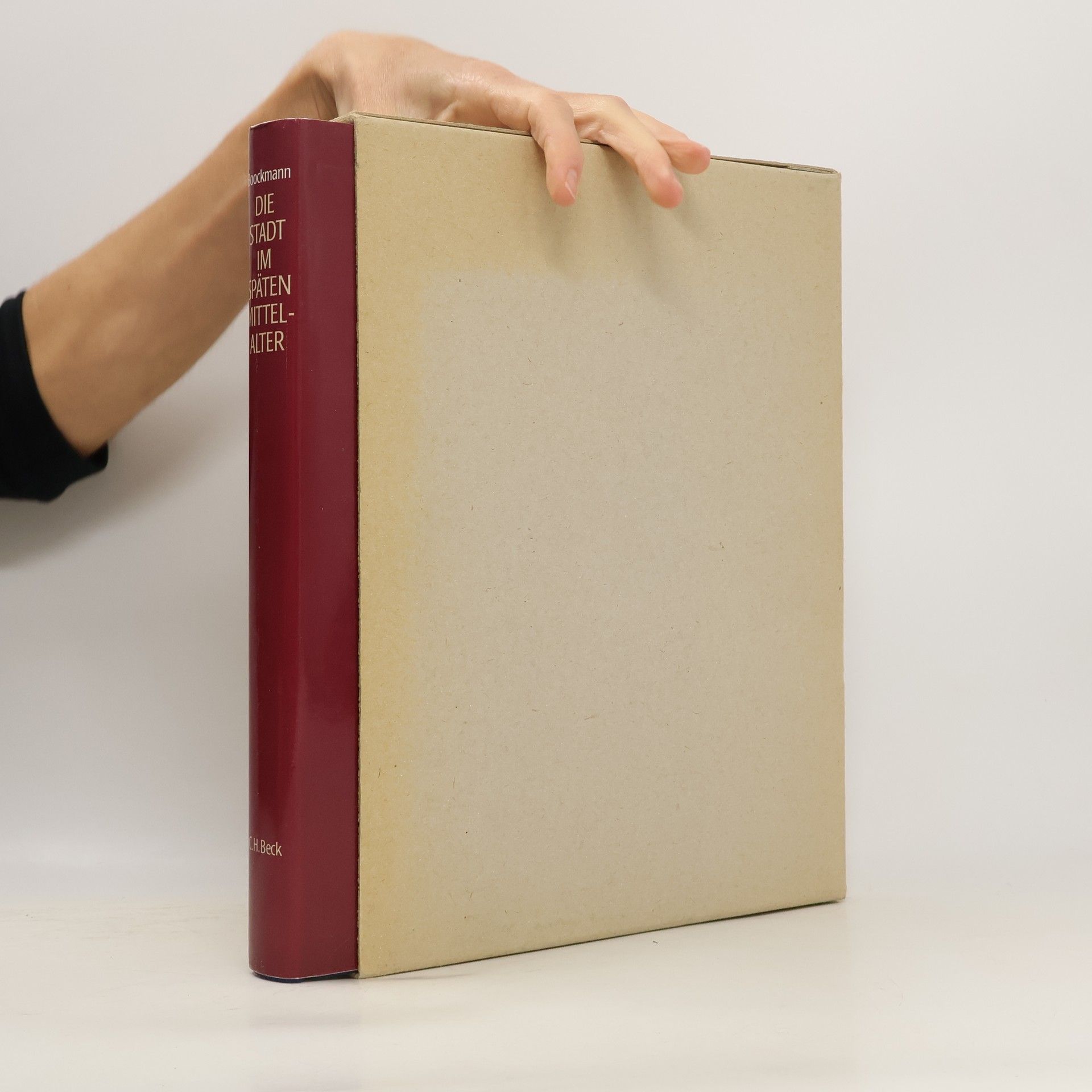 Hartmut Boockmann Die Stadt im späten Mittelalter