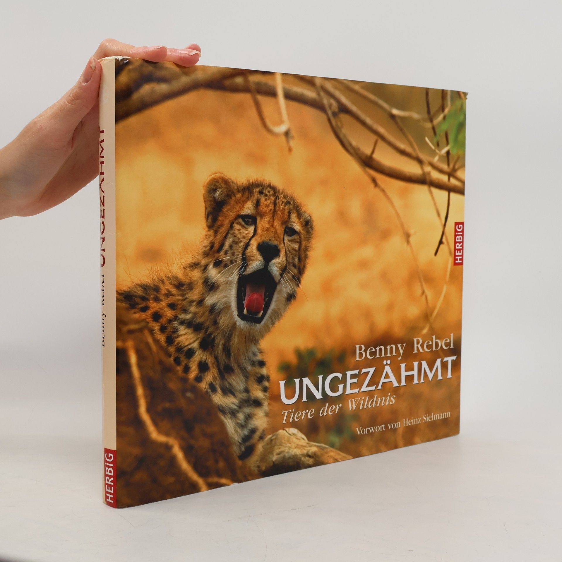 Benny Rebel Ungezähmt