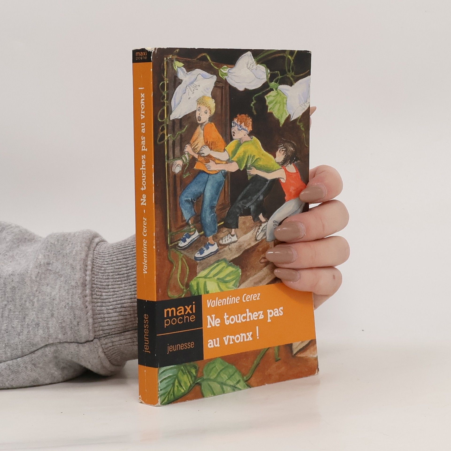 Valentine Cerez Ne touchez pas au vronx !