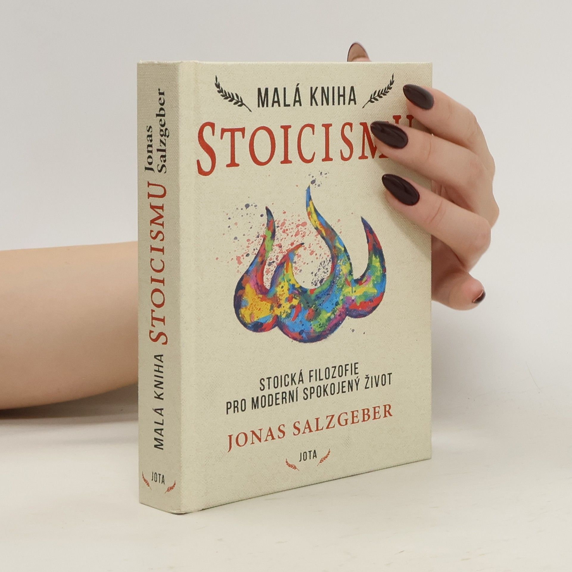 Jonas Salzgeber Malá kniha stoicismu : nadčasová moudrost k získání odolnosti, sebedůvěry a klidu