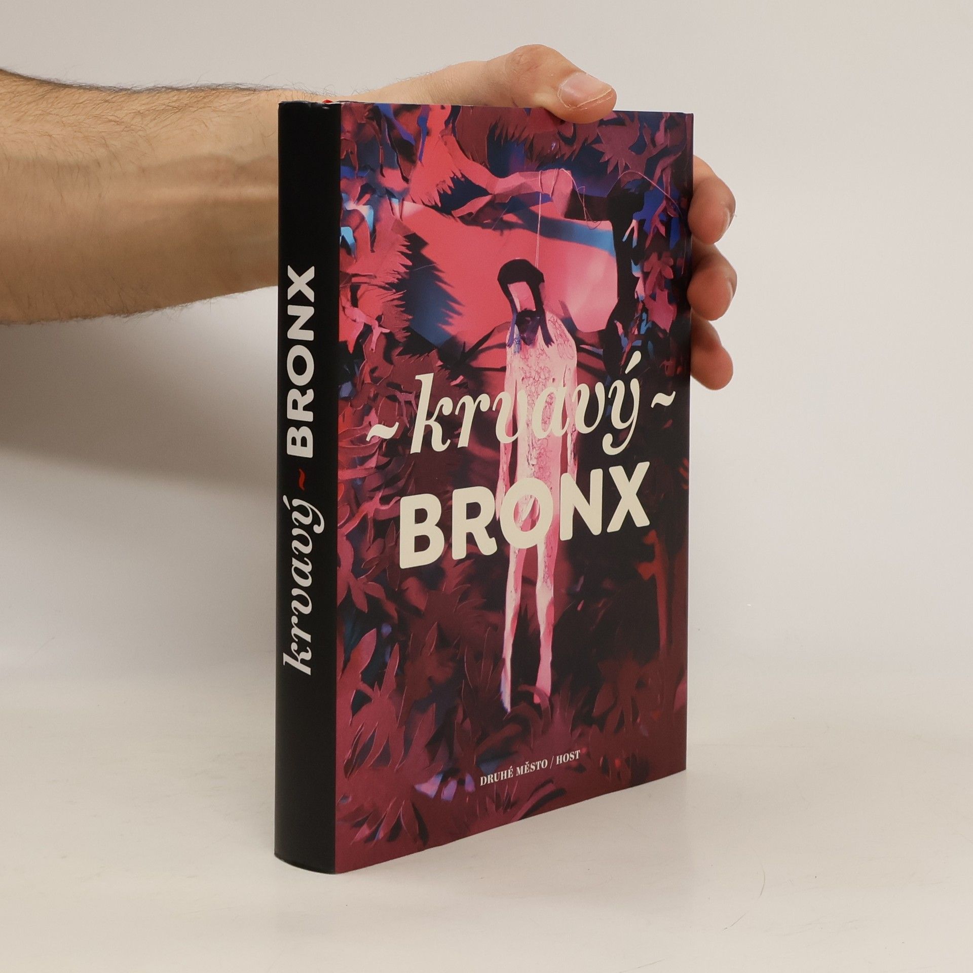 Kolektív autorov Krvavý Bronx