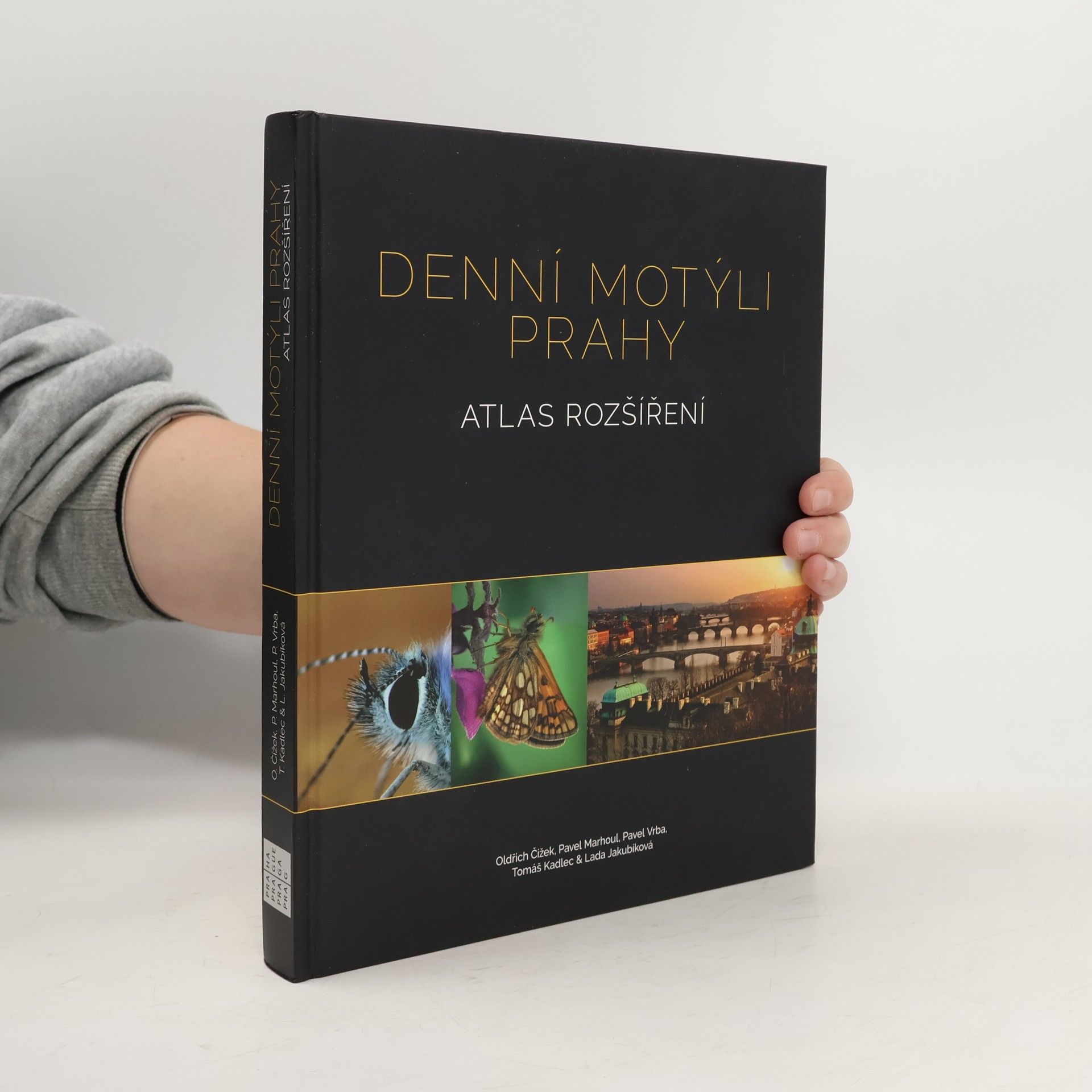 Kolektiv autorů Denní motýli Prahy : atlas rozšíření