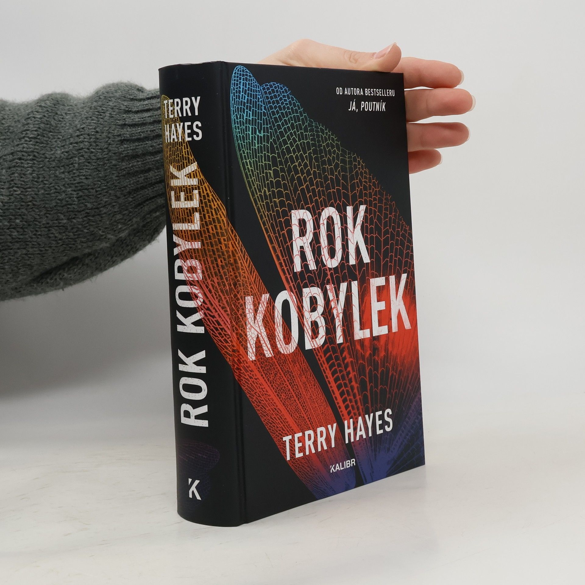 Terry Hayes Rok kobylek