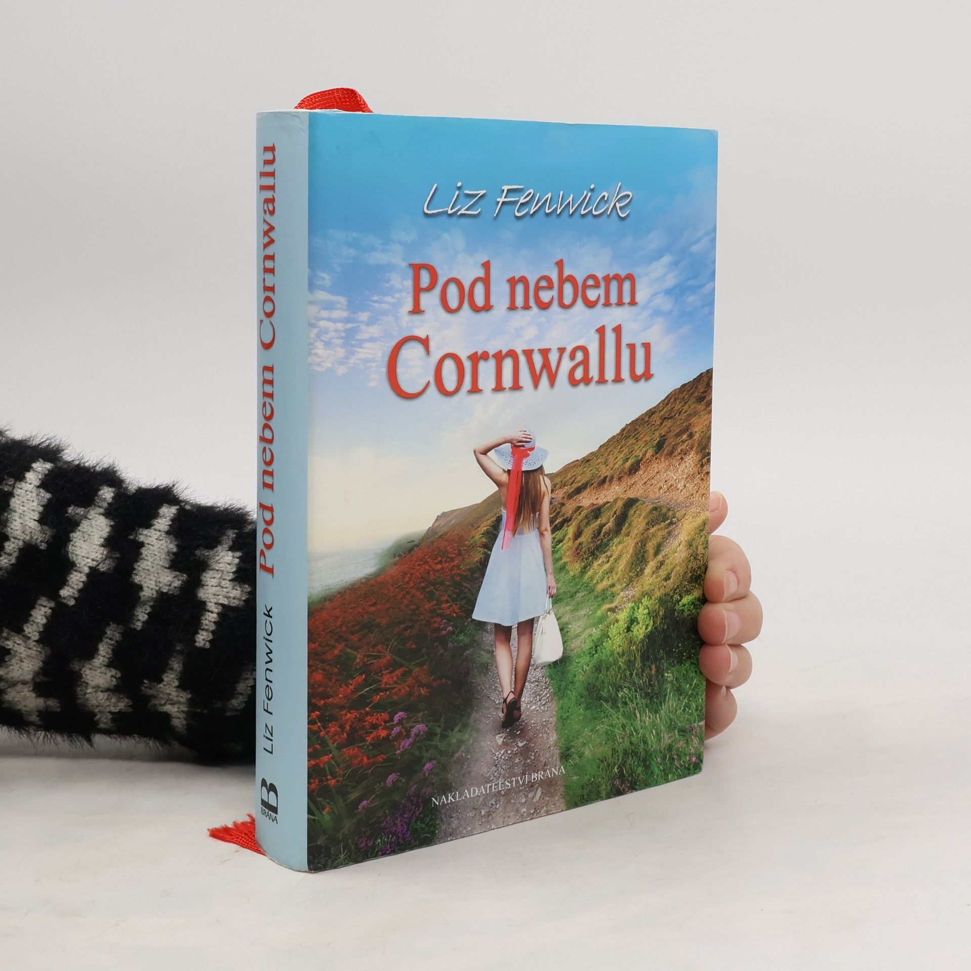 Liz Fenwick Pod nebem Cornwallu