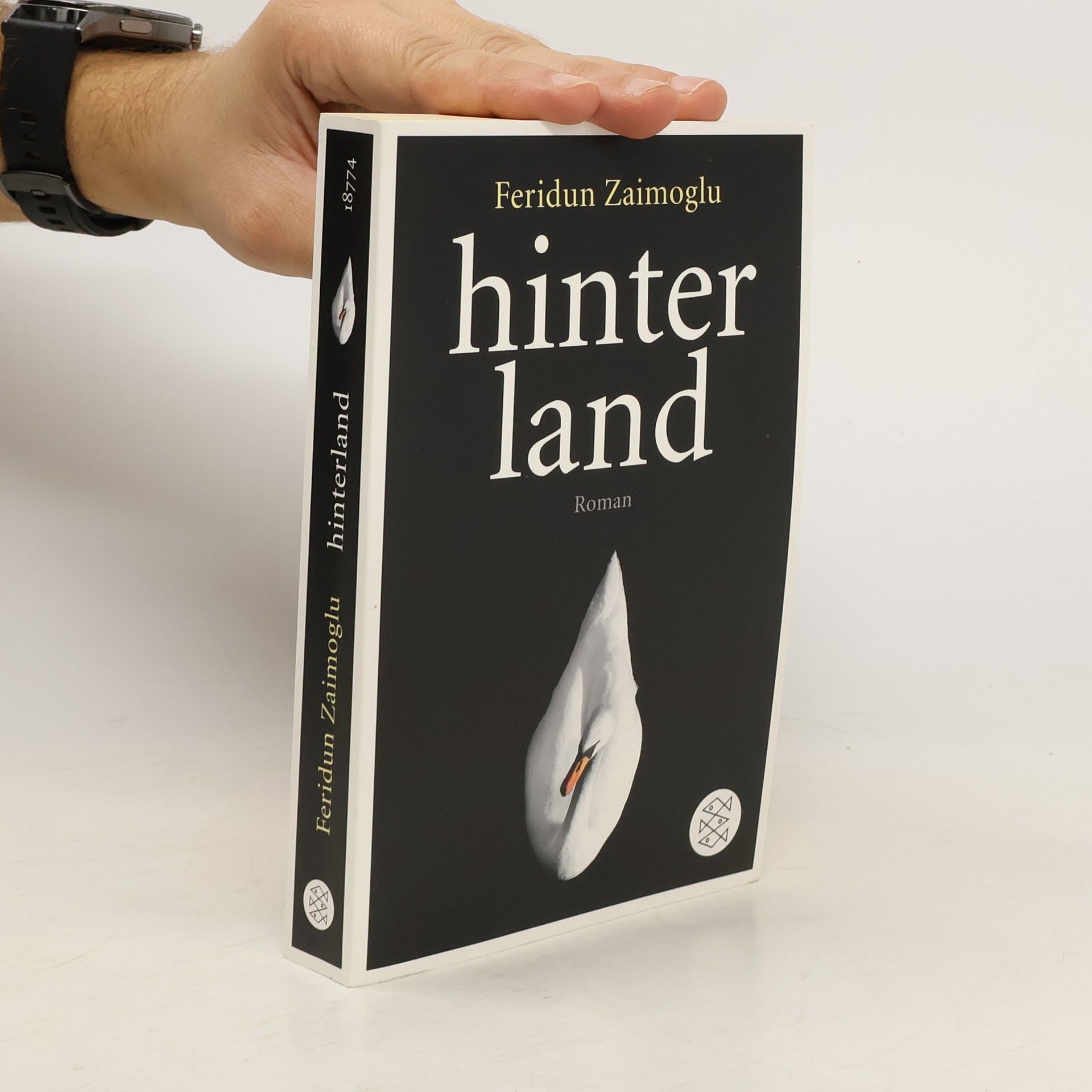 Feridun Zaimoglu Hinter Land : Roman