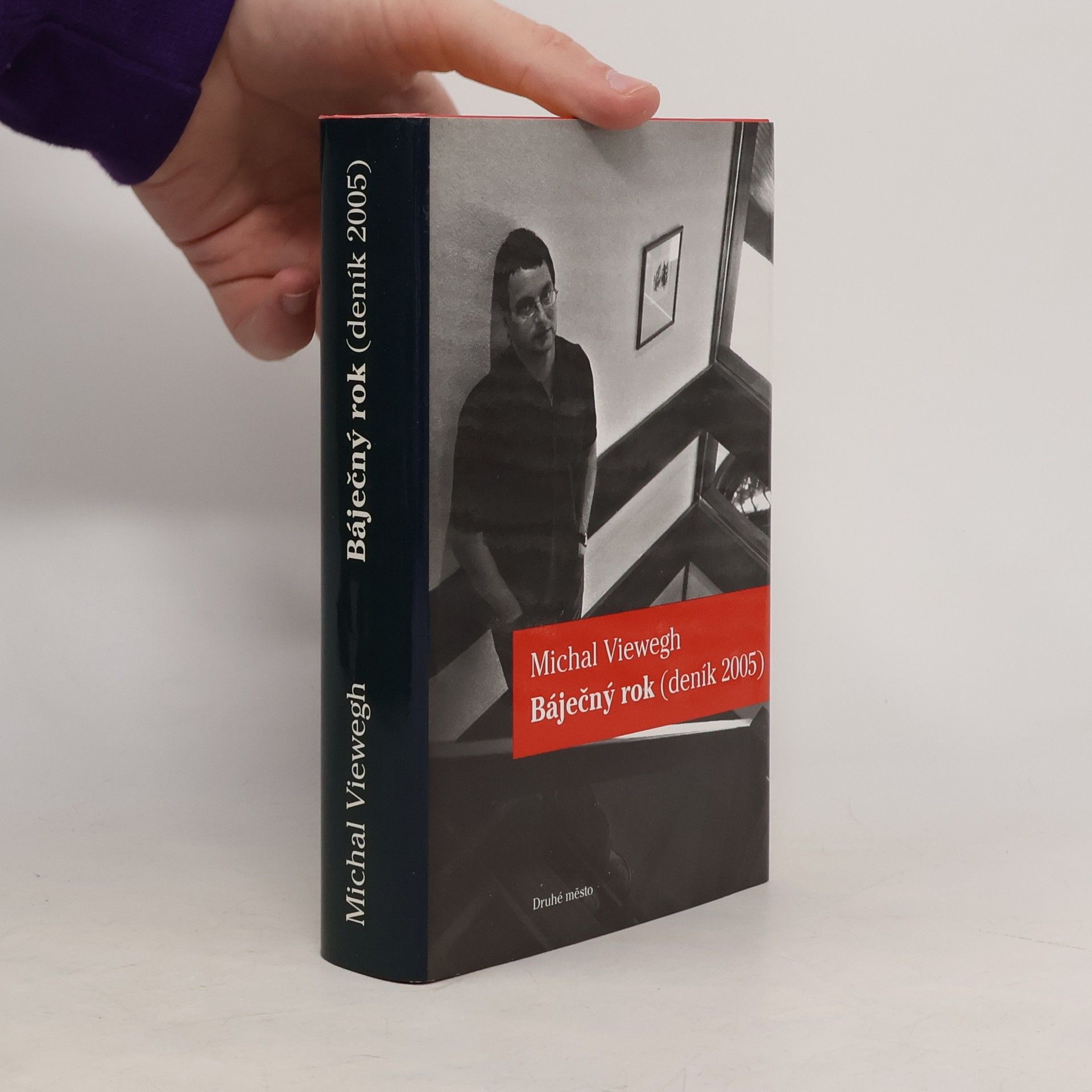 Michal Viewegh Báječný rok