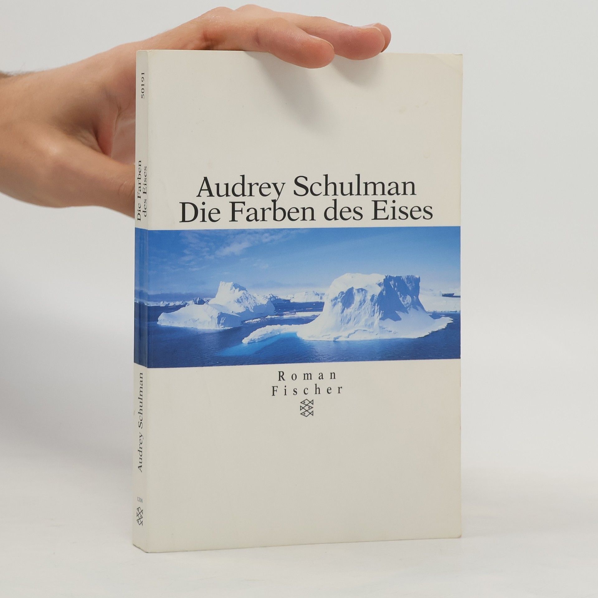 Audrey Schulman Die Farben des Eises