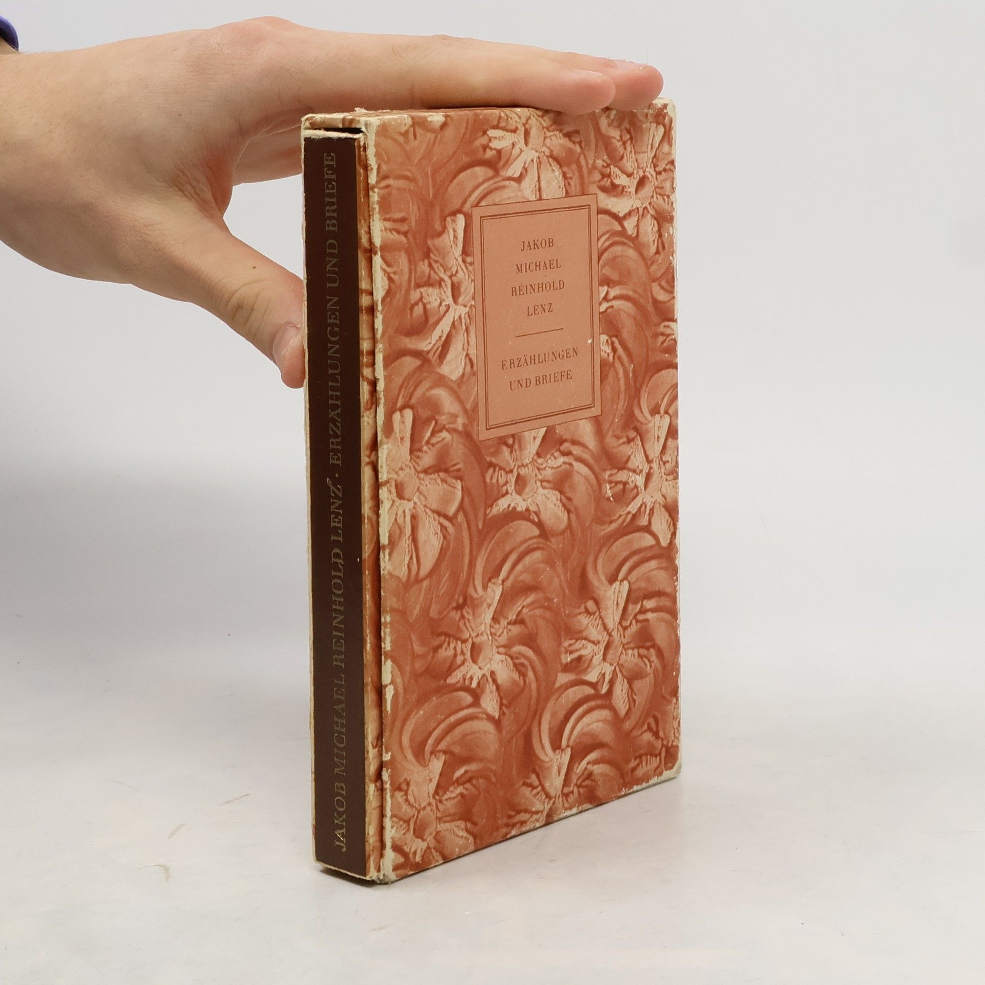 Jacob Michael Reinhold Lenz Erzählungen und Briefe