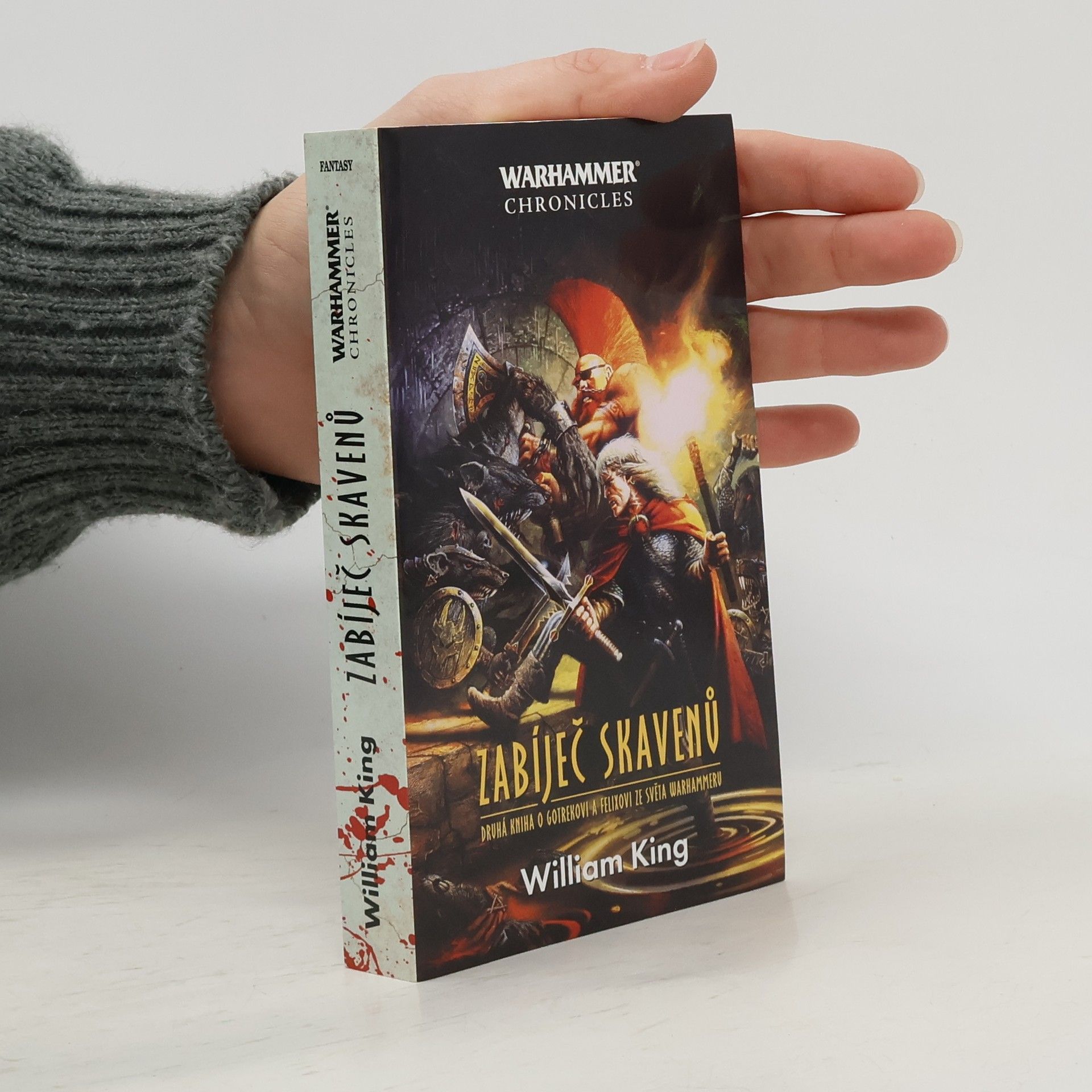 William King Zabíleč démonů