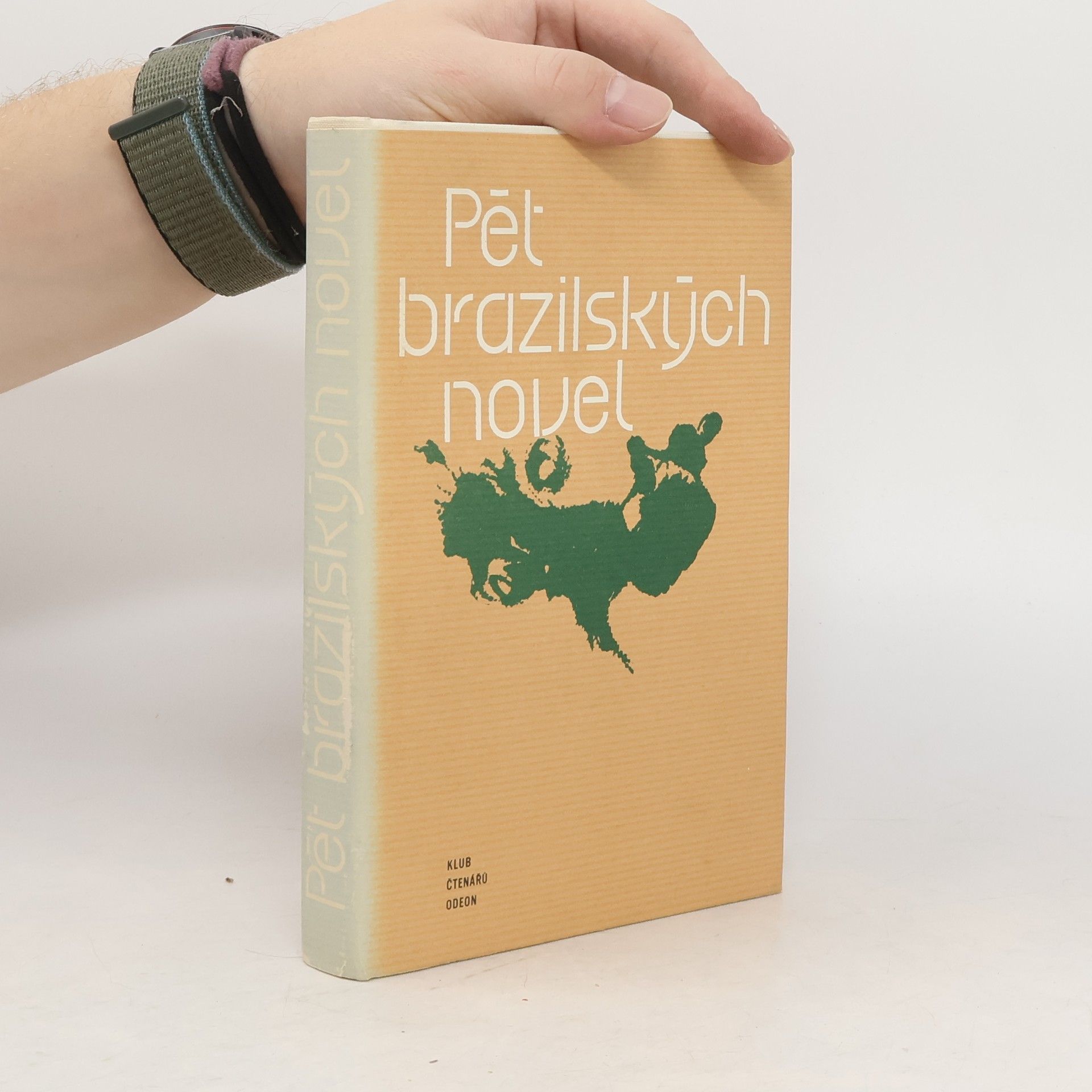 Autorenkollektiv Pět brazilských novel