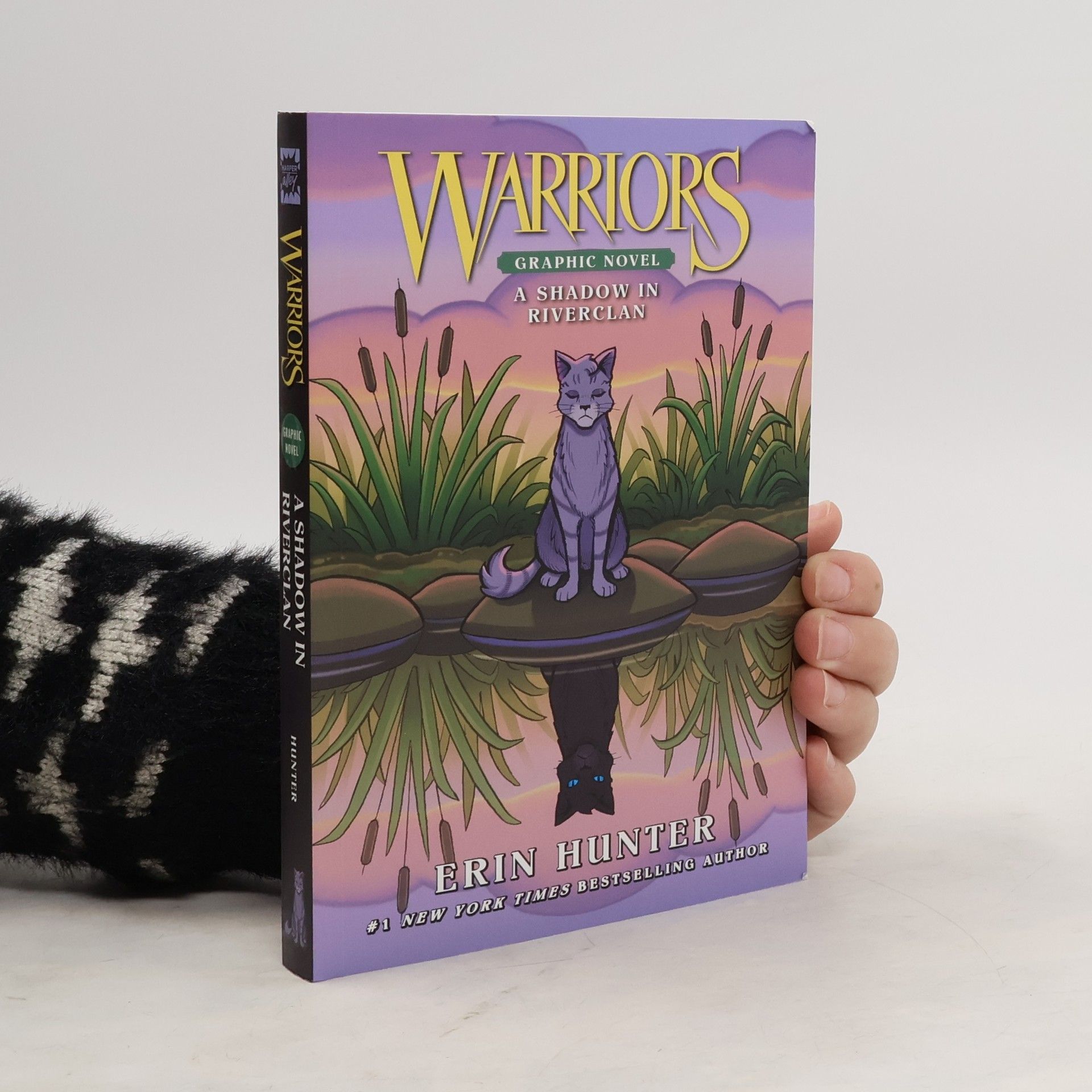 Erin Hunter Warriors: a Shadow in RiverClan