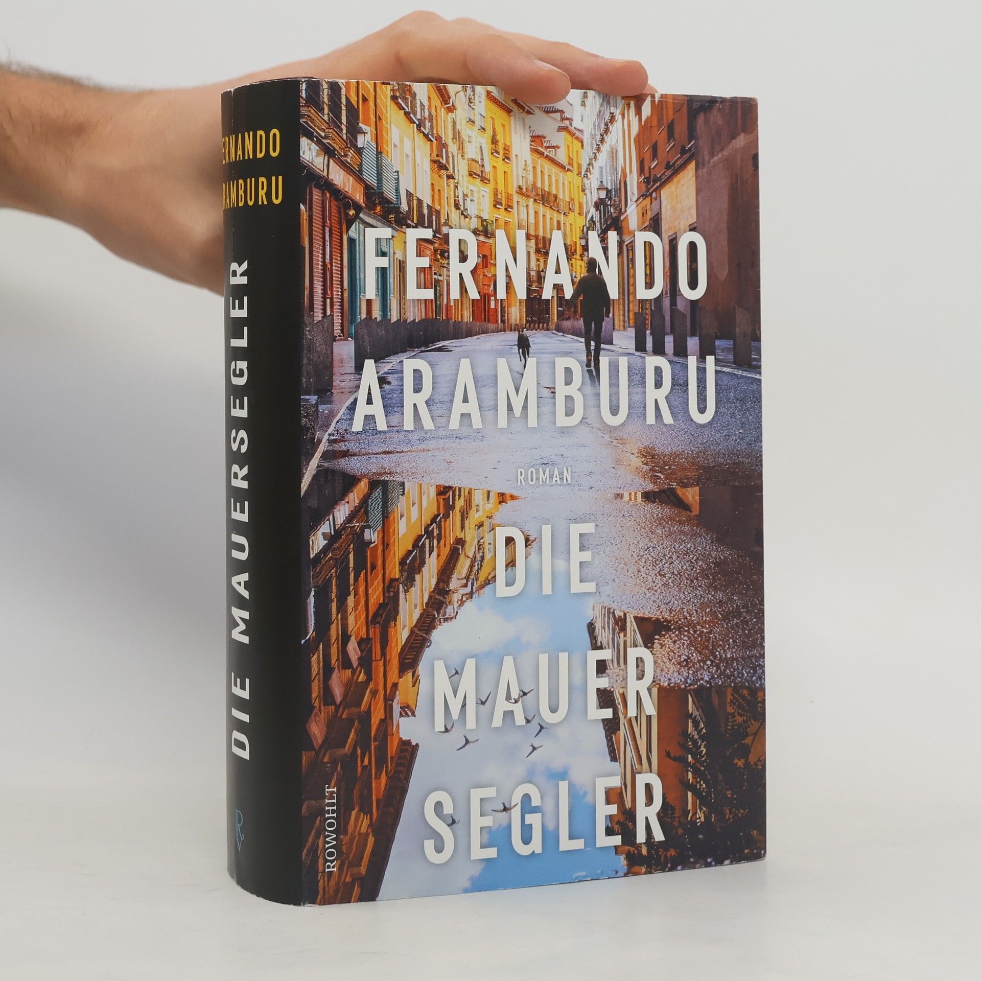 Fernando Aramburu Die Mauersegler