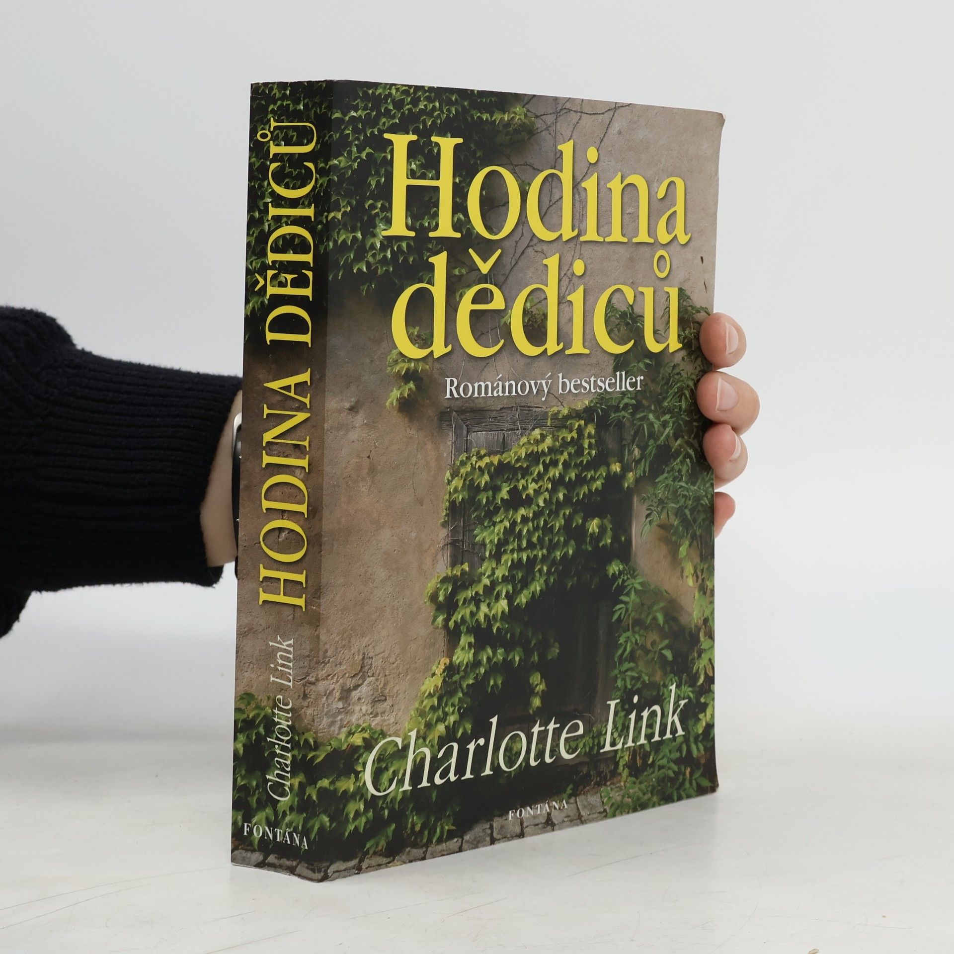 Charlotte Link Hodina dědiců