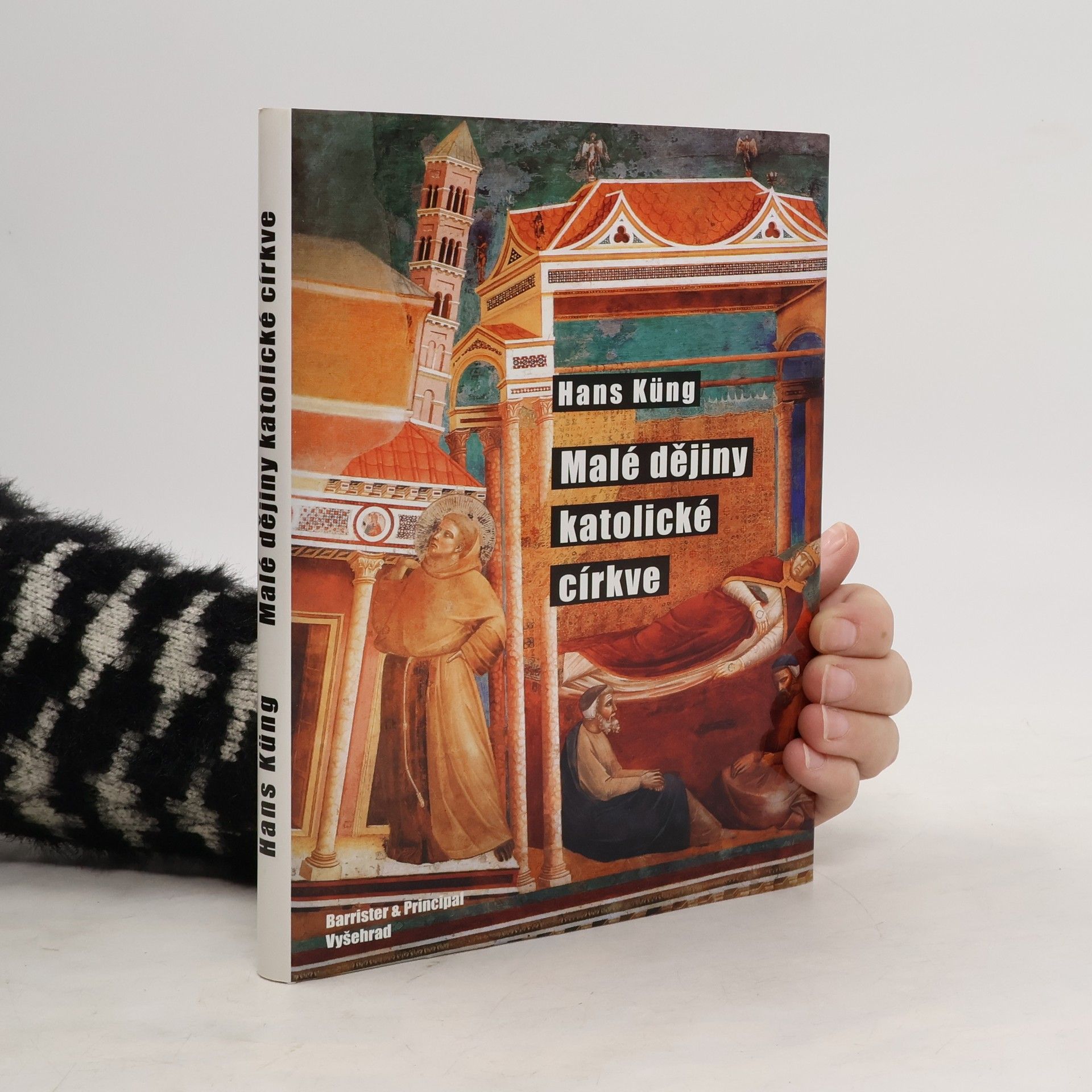 Hans Küng Malé dějiny katolické církve
