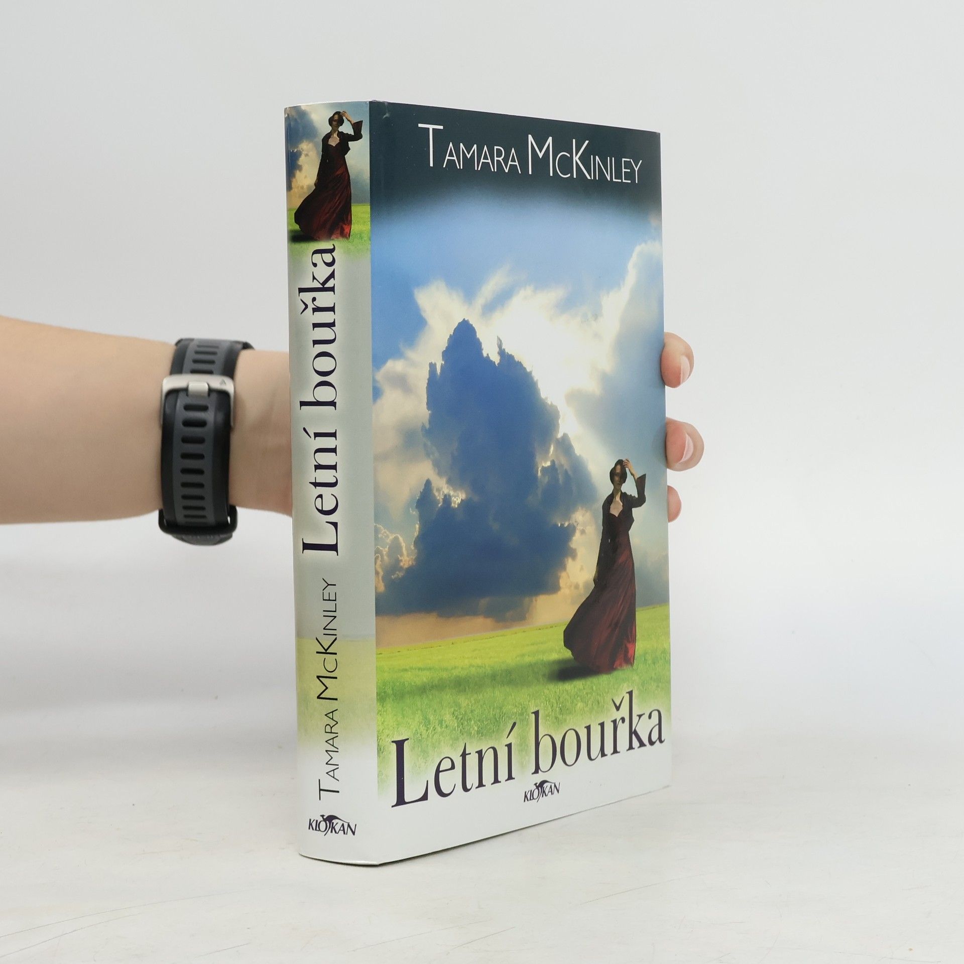 Tamara McKinley Letní bouřka