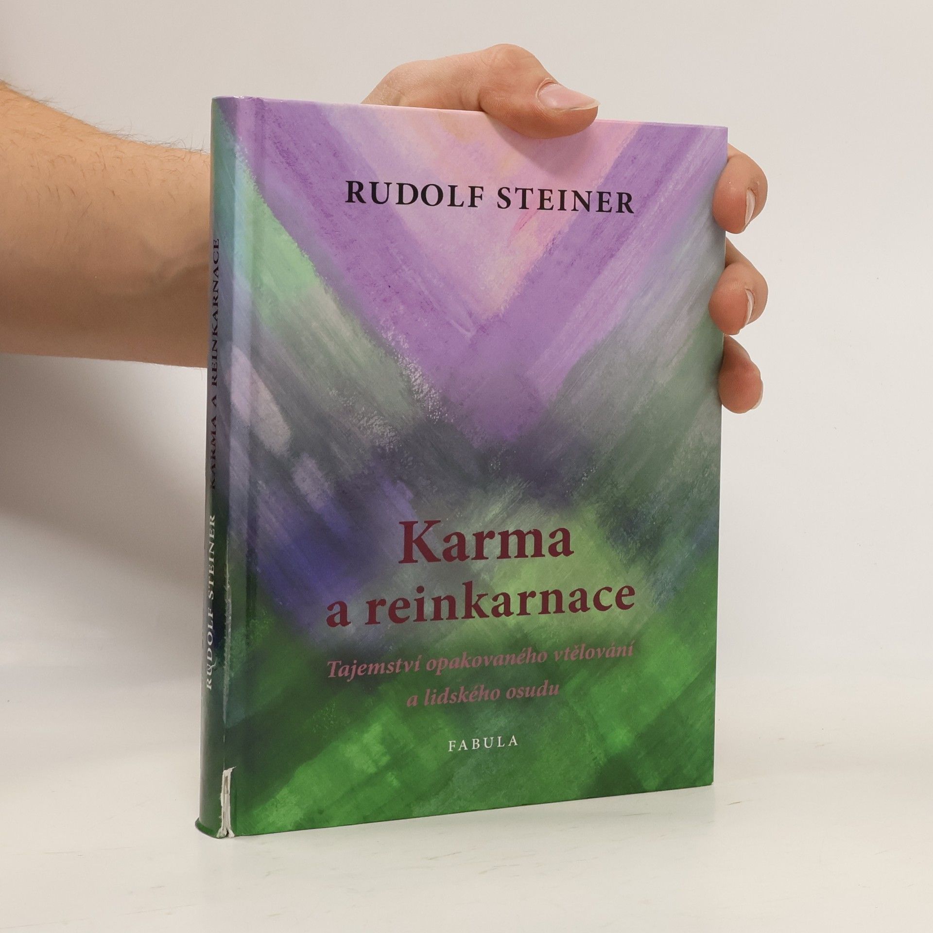 Rudolf Steiner Karma a reinkarnace. Tajemství opakovaného vtělování a lidského osudu
