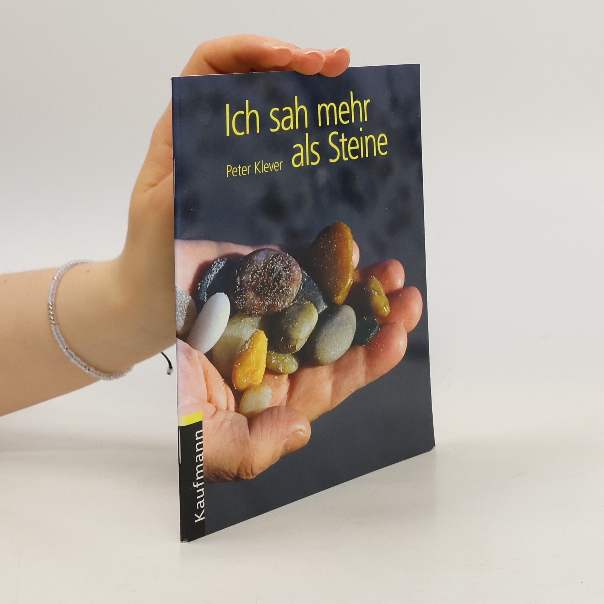 Peter Klever Ich sah mehr als Steine