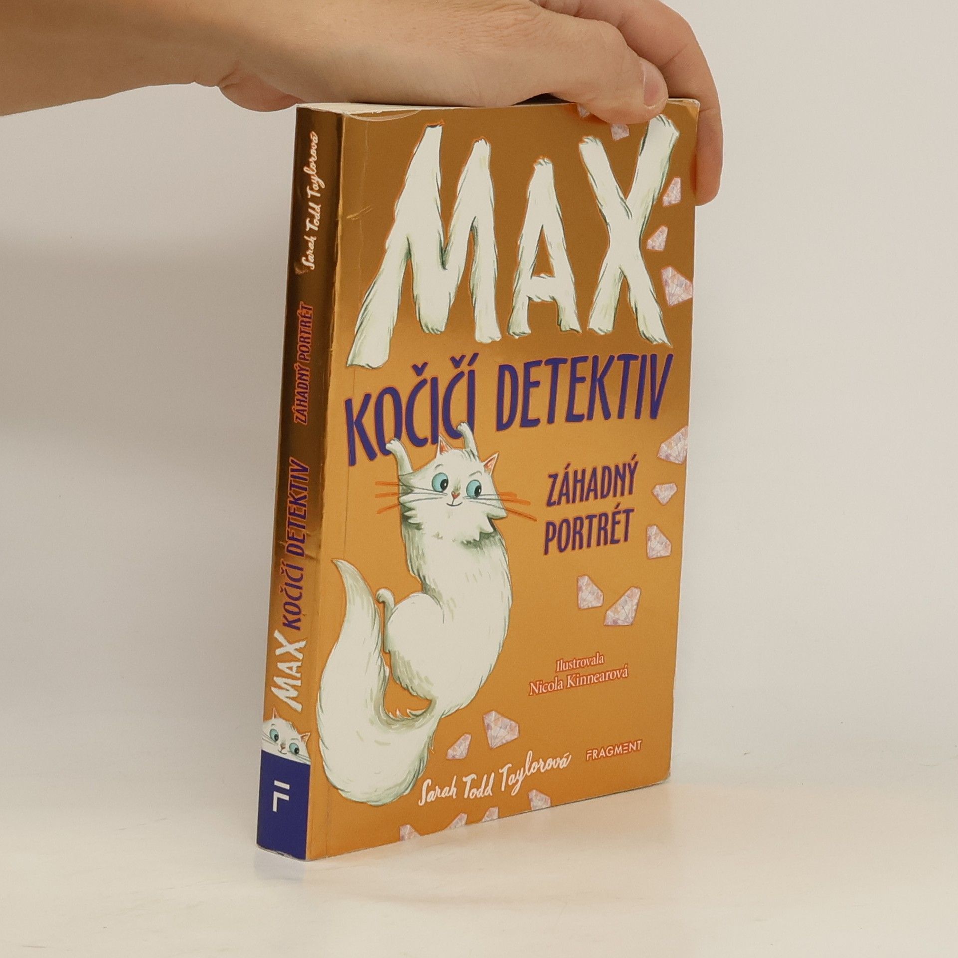 Sarah Todd Taylor Záhadný portrét