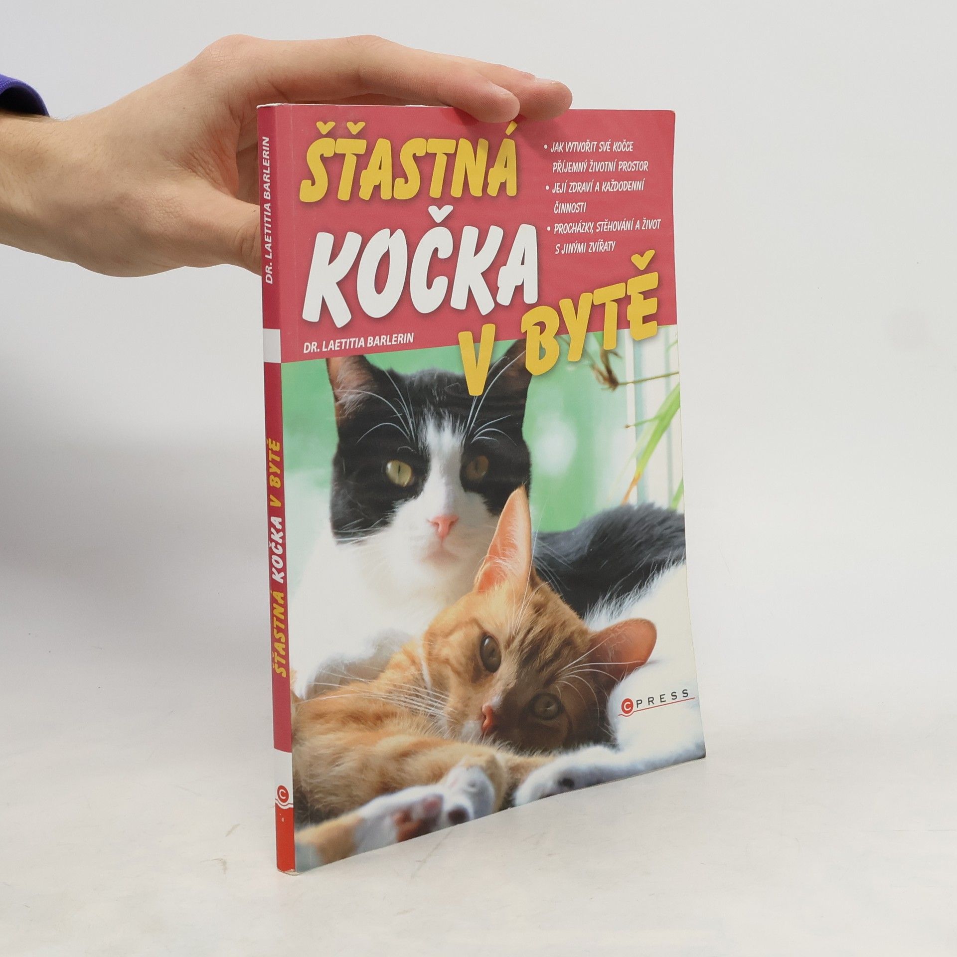 Šťastná kočka v bytě