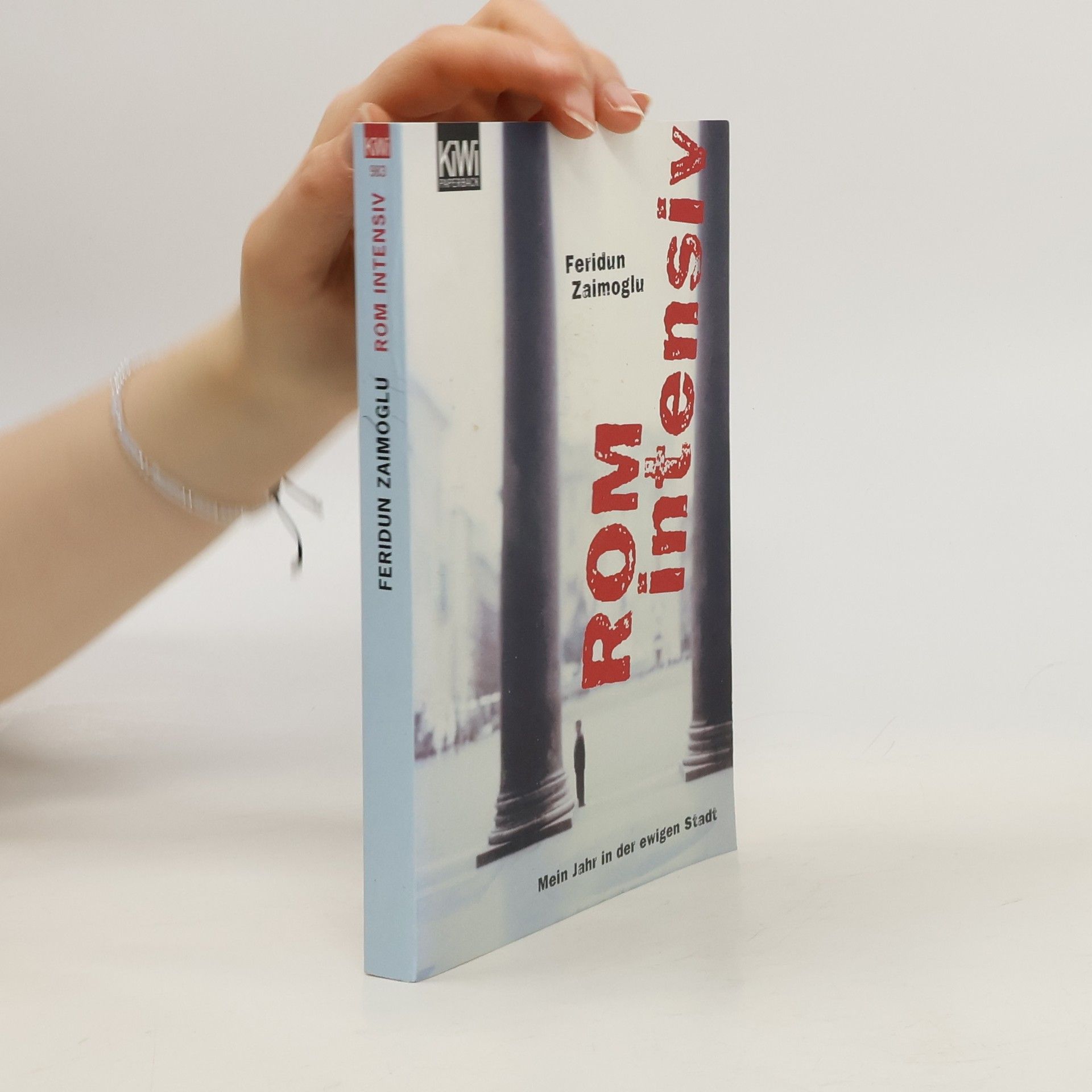 Feridun Zaimoglu Rom intensiv: mein Jahr in der Ewigen Stadt