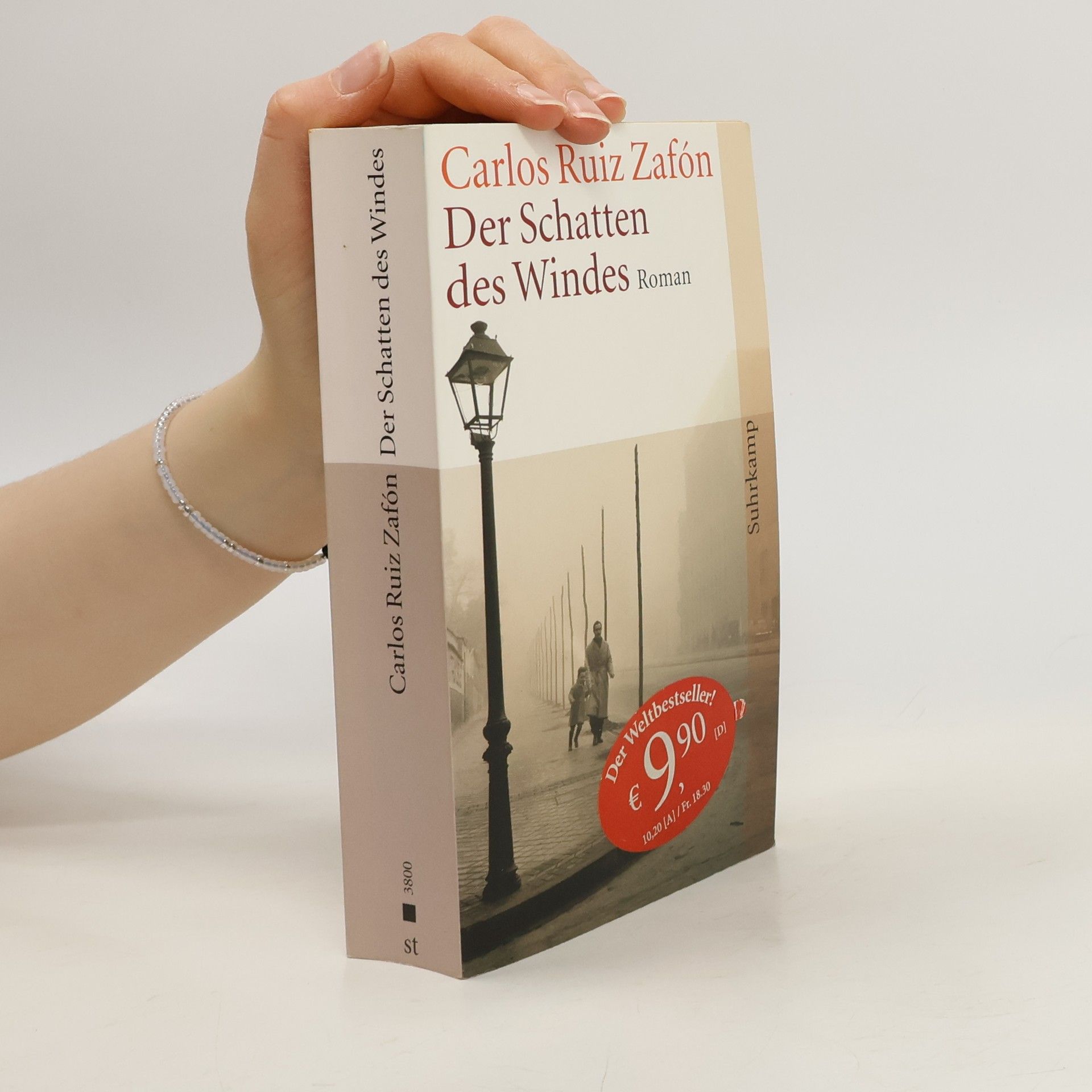 Carlos Ruiz Zafón Der Schatten des Windes