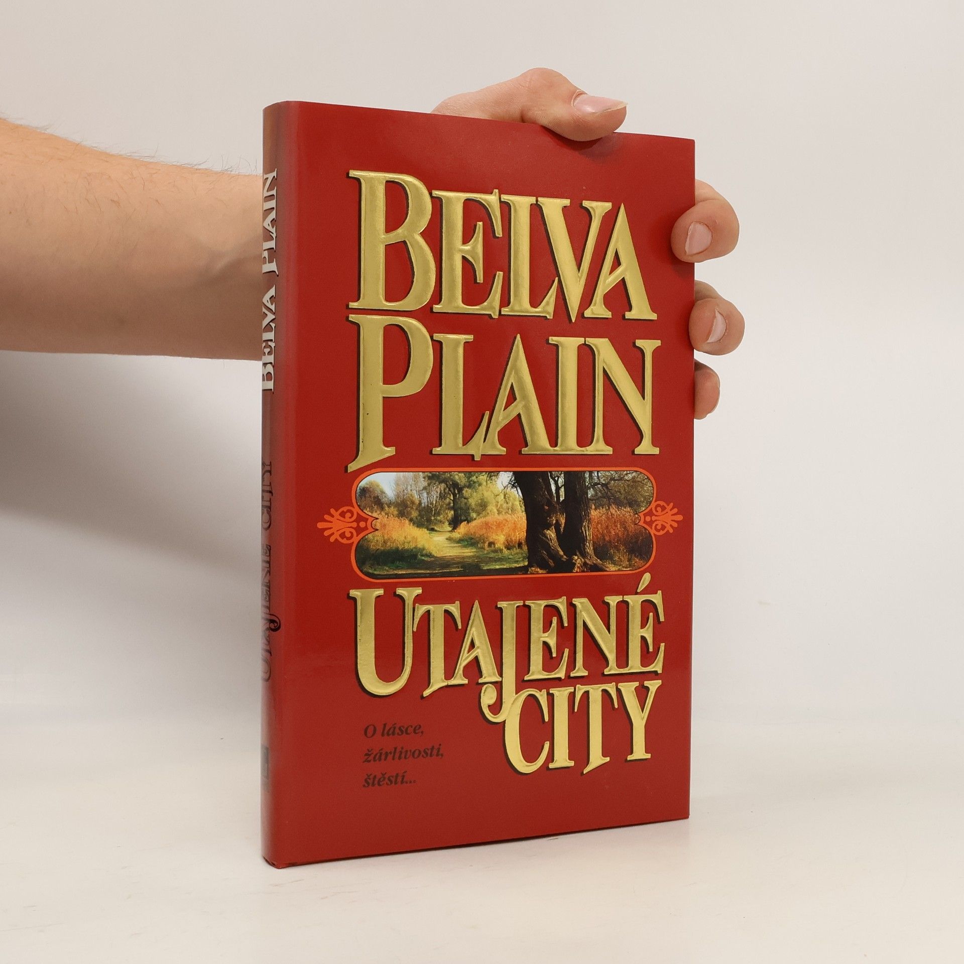Belva Plain Utajené city