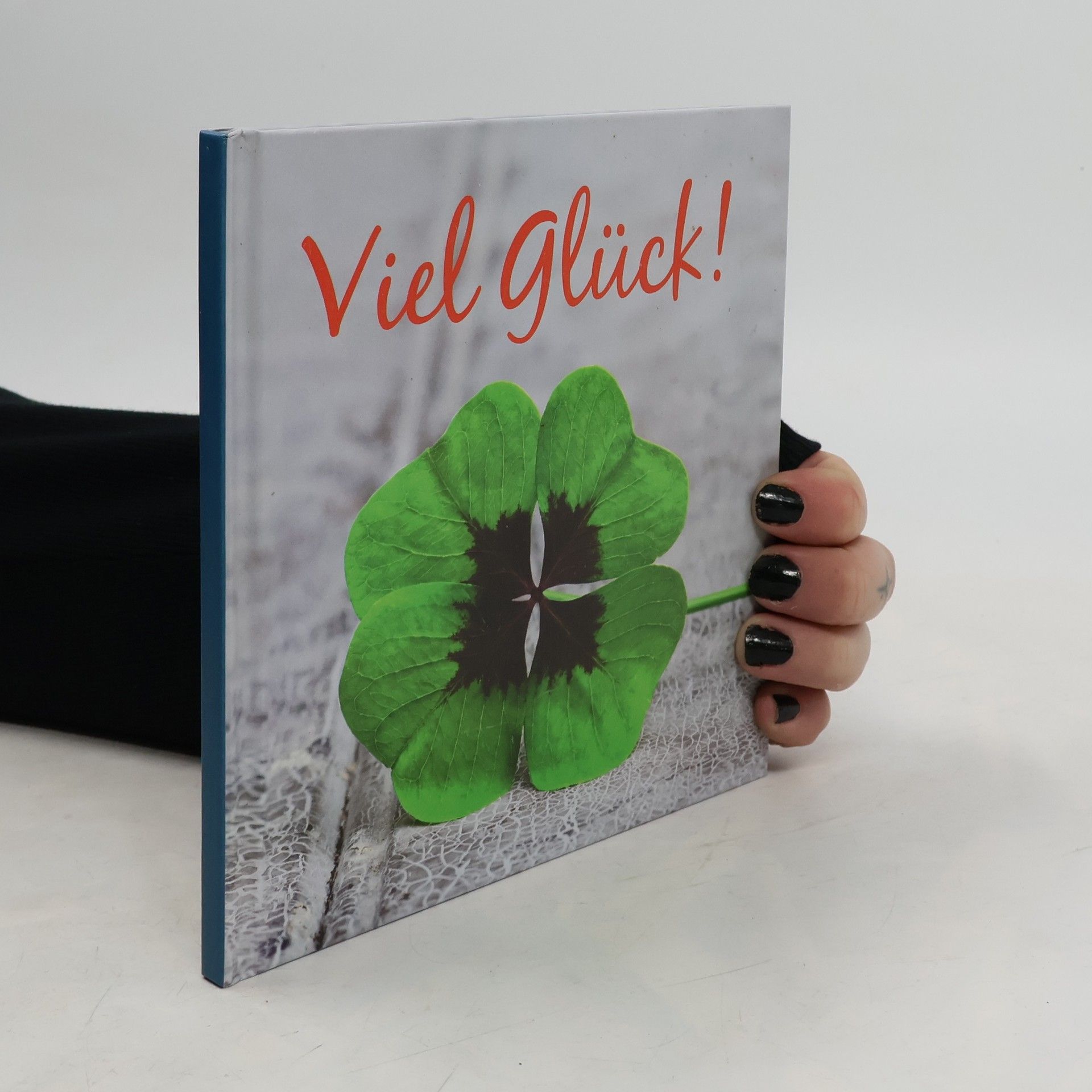 Kolektív autorov Viel Glück