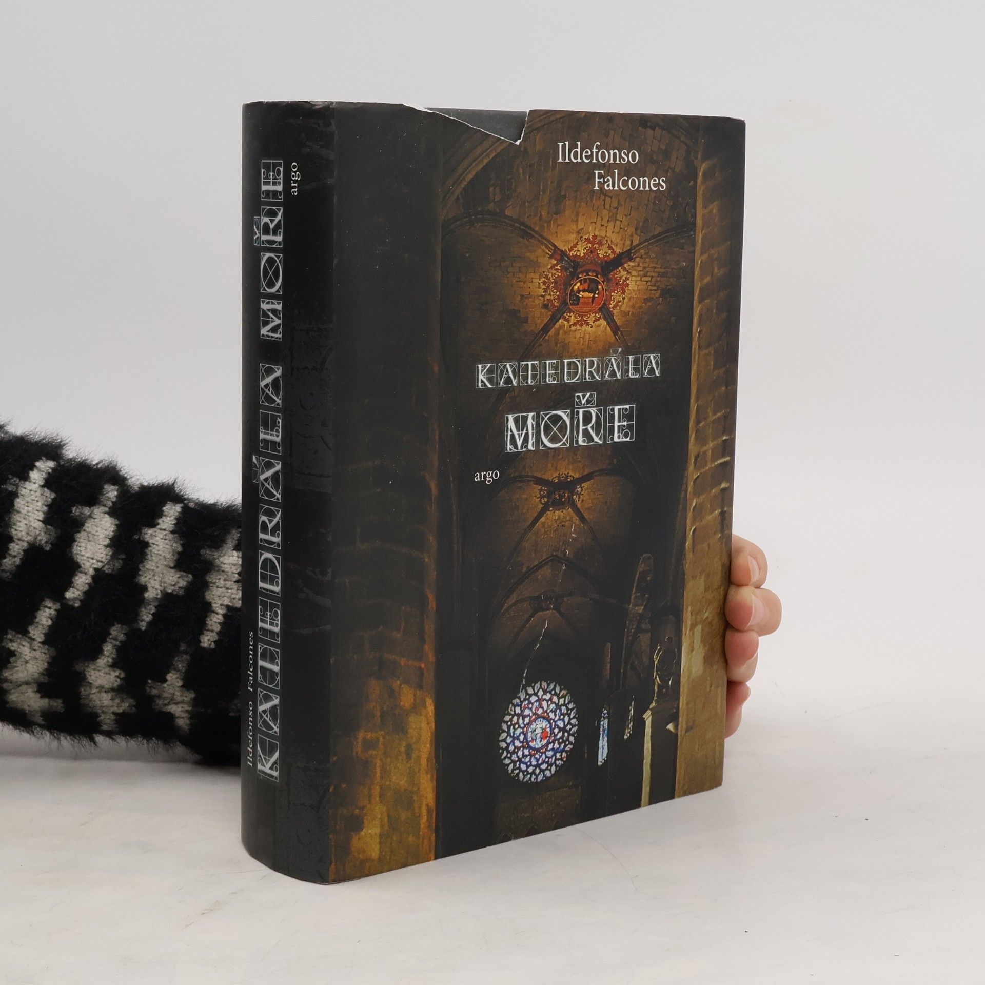 Ildefonso Falcones Katedrála moře